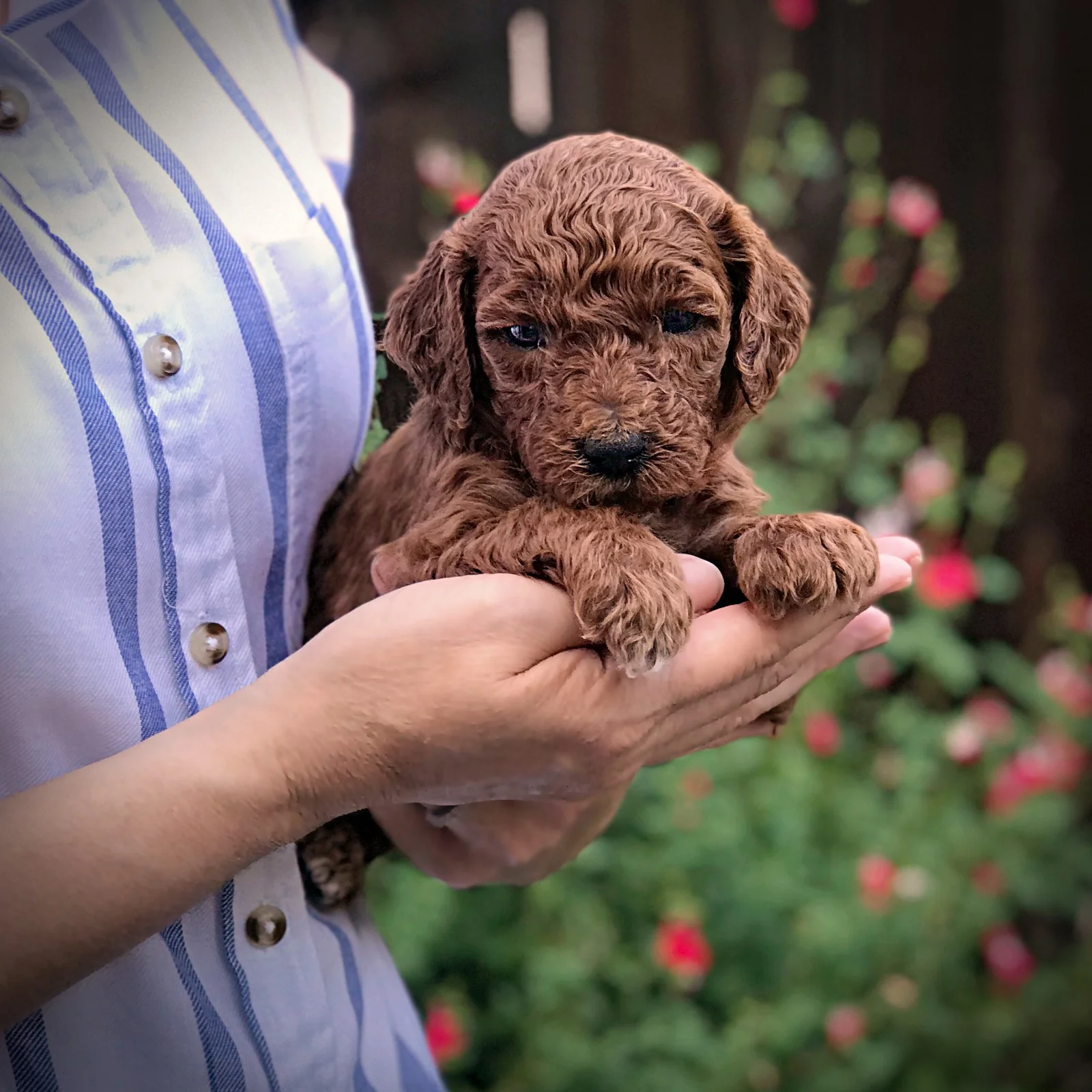 4 Weeks Old!