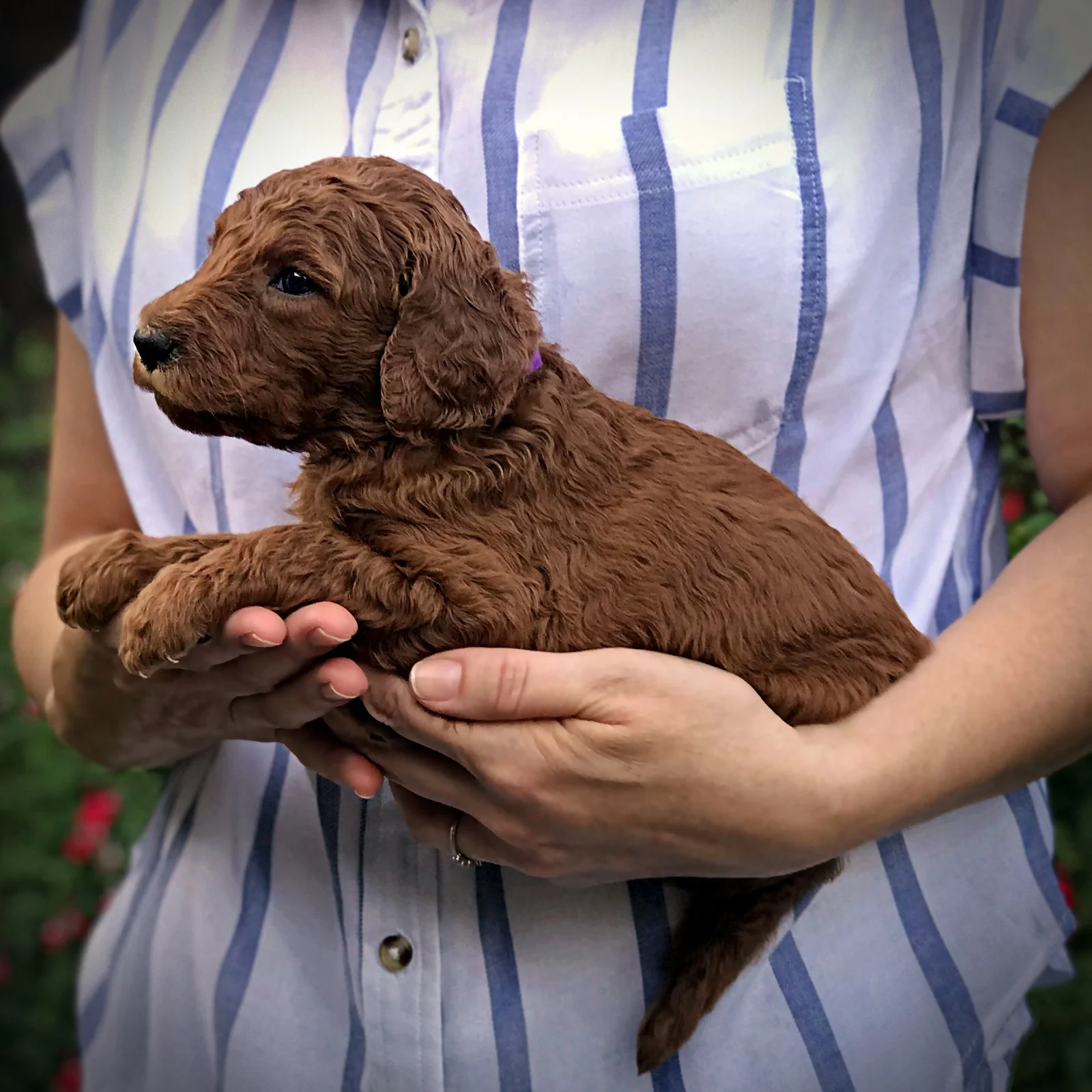 4 Weeks Old!