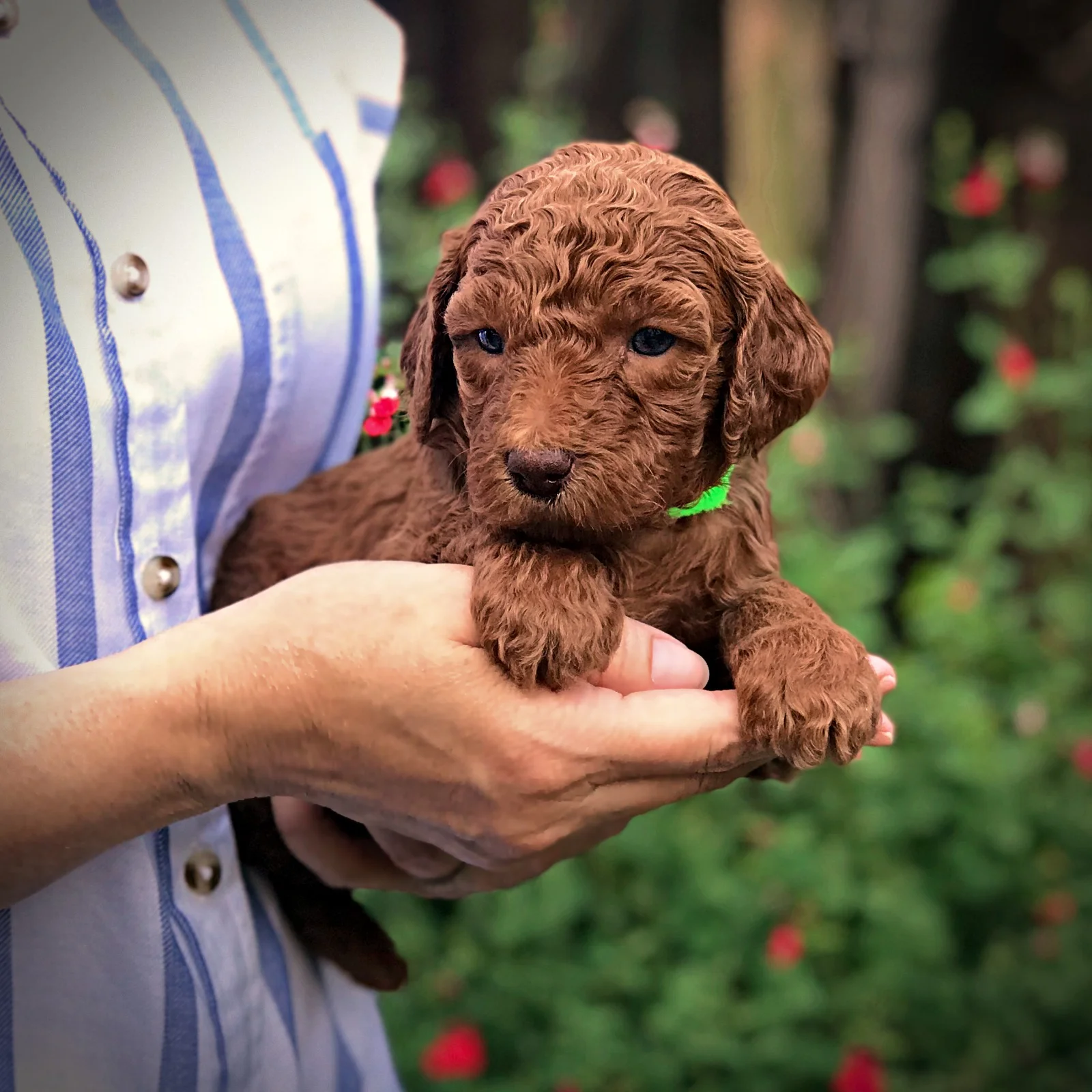 4 Weeks Old!