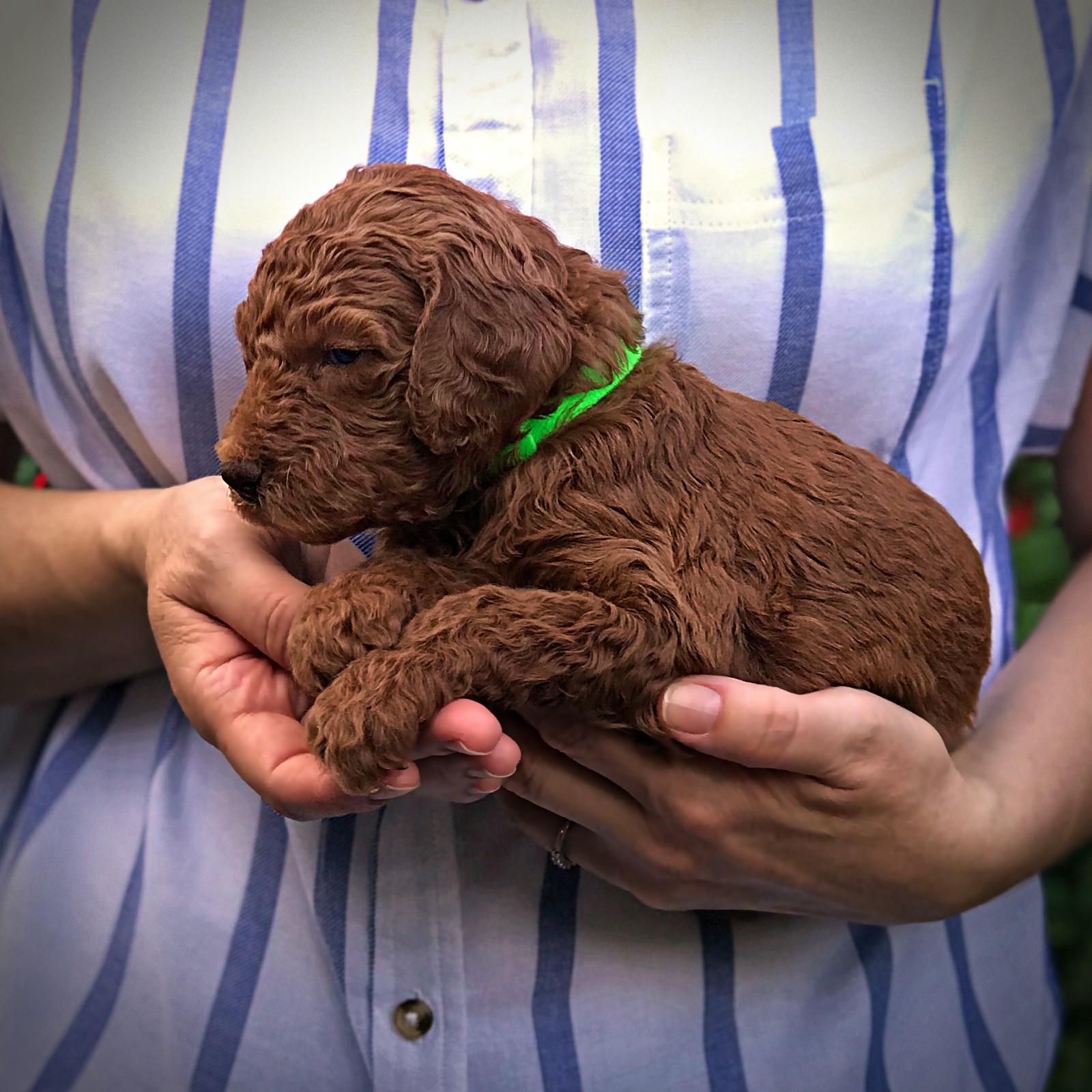 4 Weeks Old!