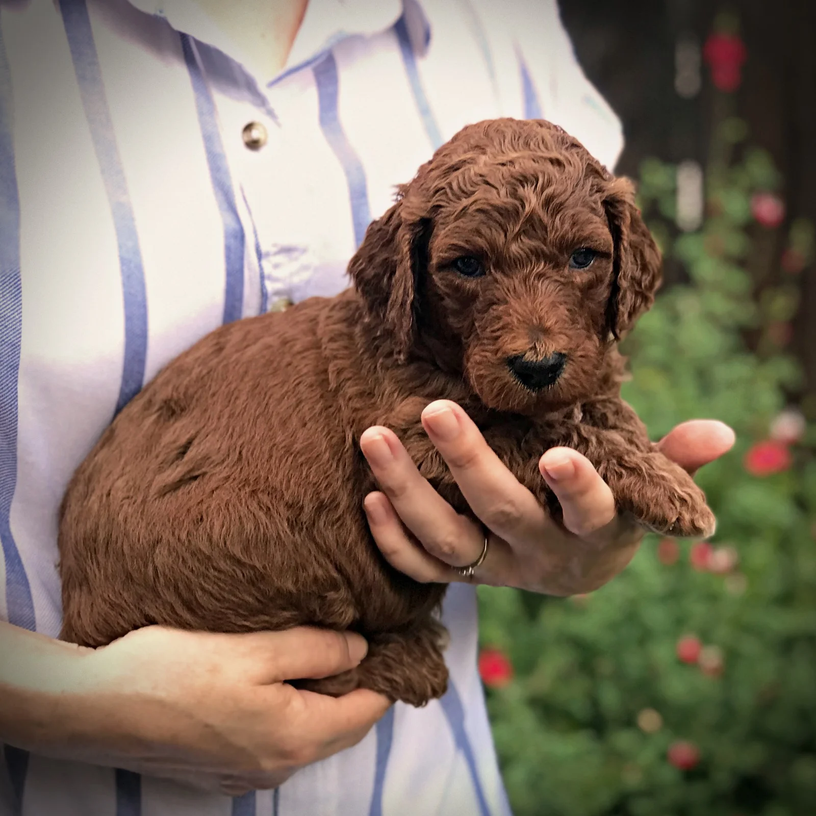 4 Weeks Old!