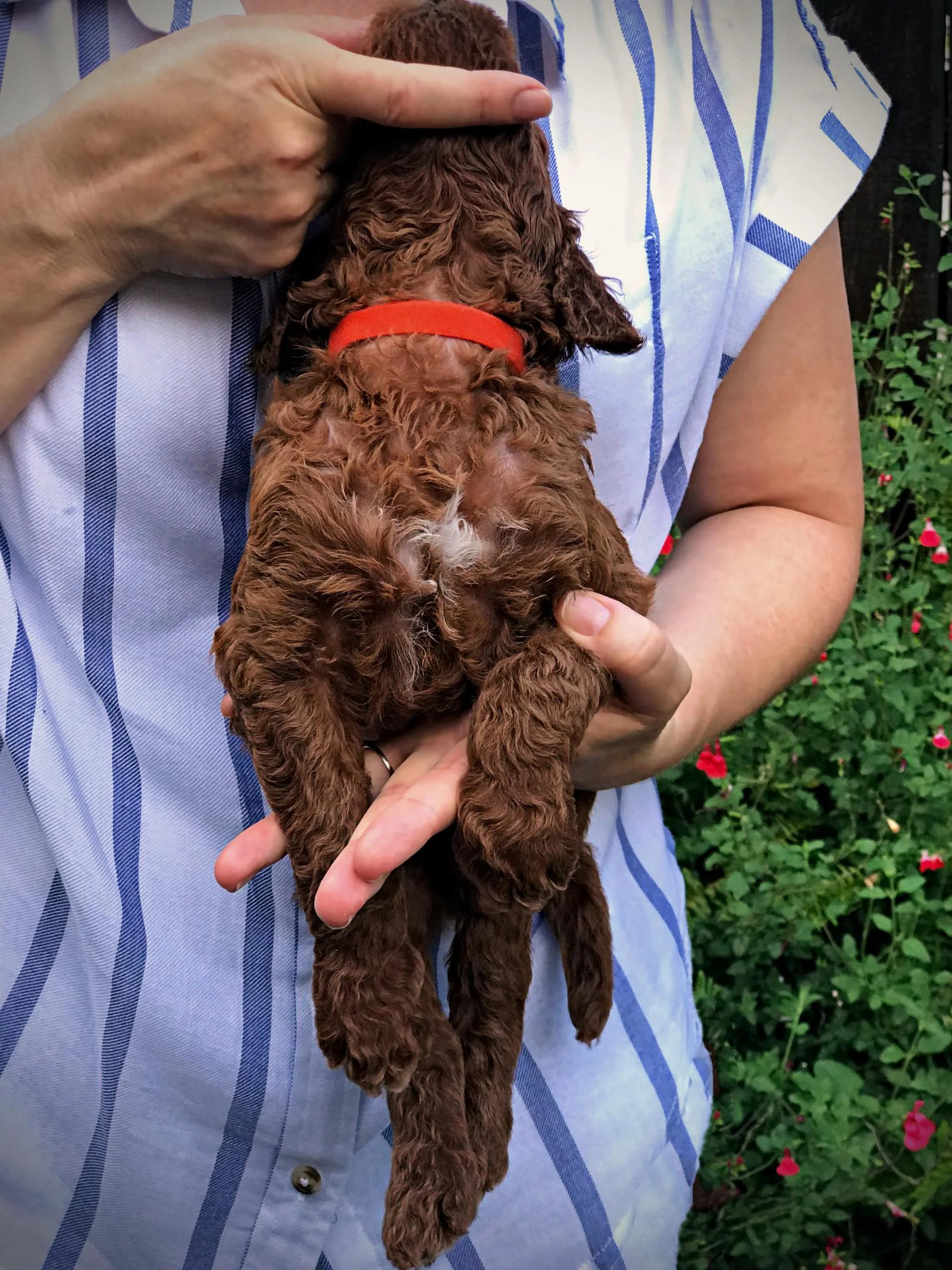 4 Weeks Old!