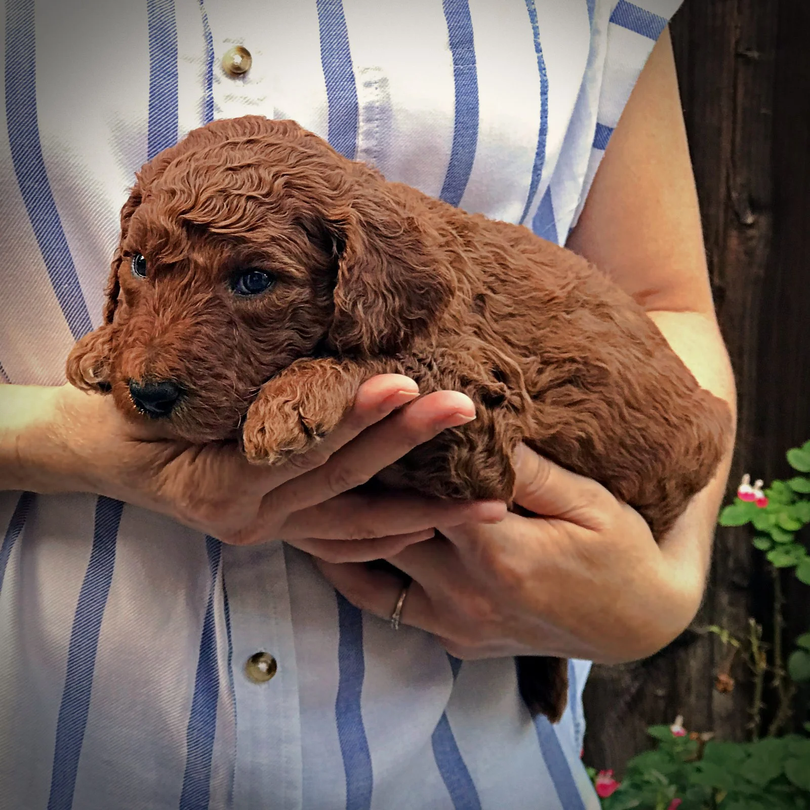 4 Weeks Old!