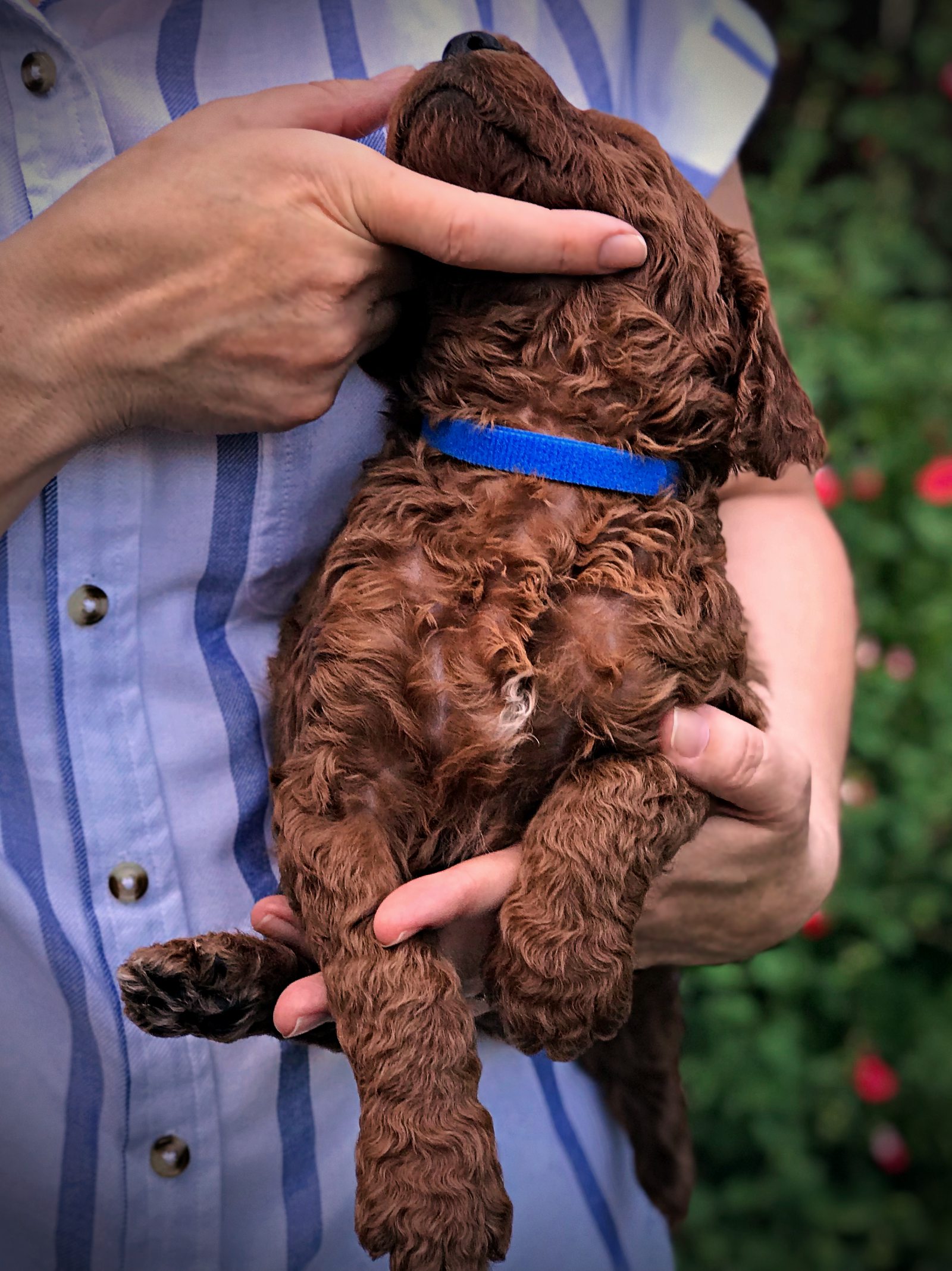 4 Weeks Old!