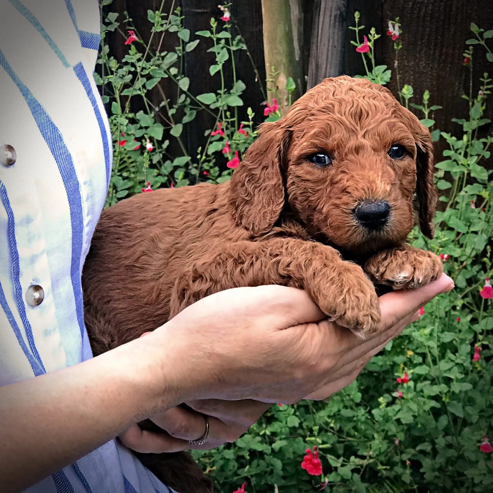 4 Weeks Old!