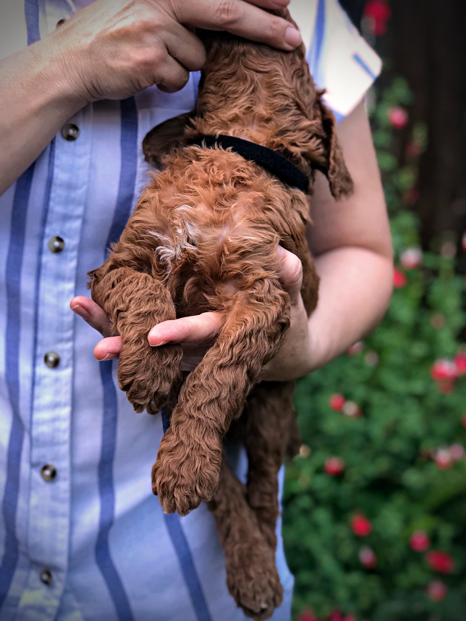 4 Weeks Old!