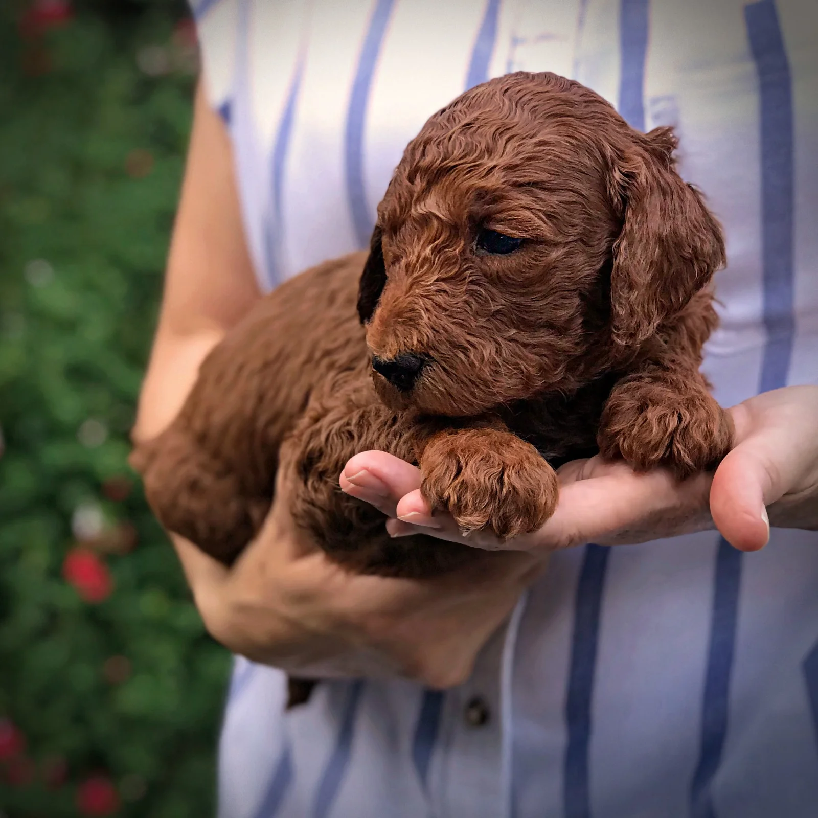 4 Weeks Old!
