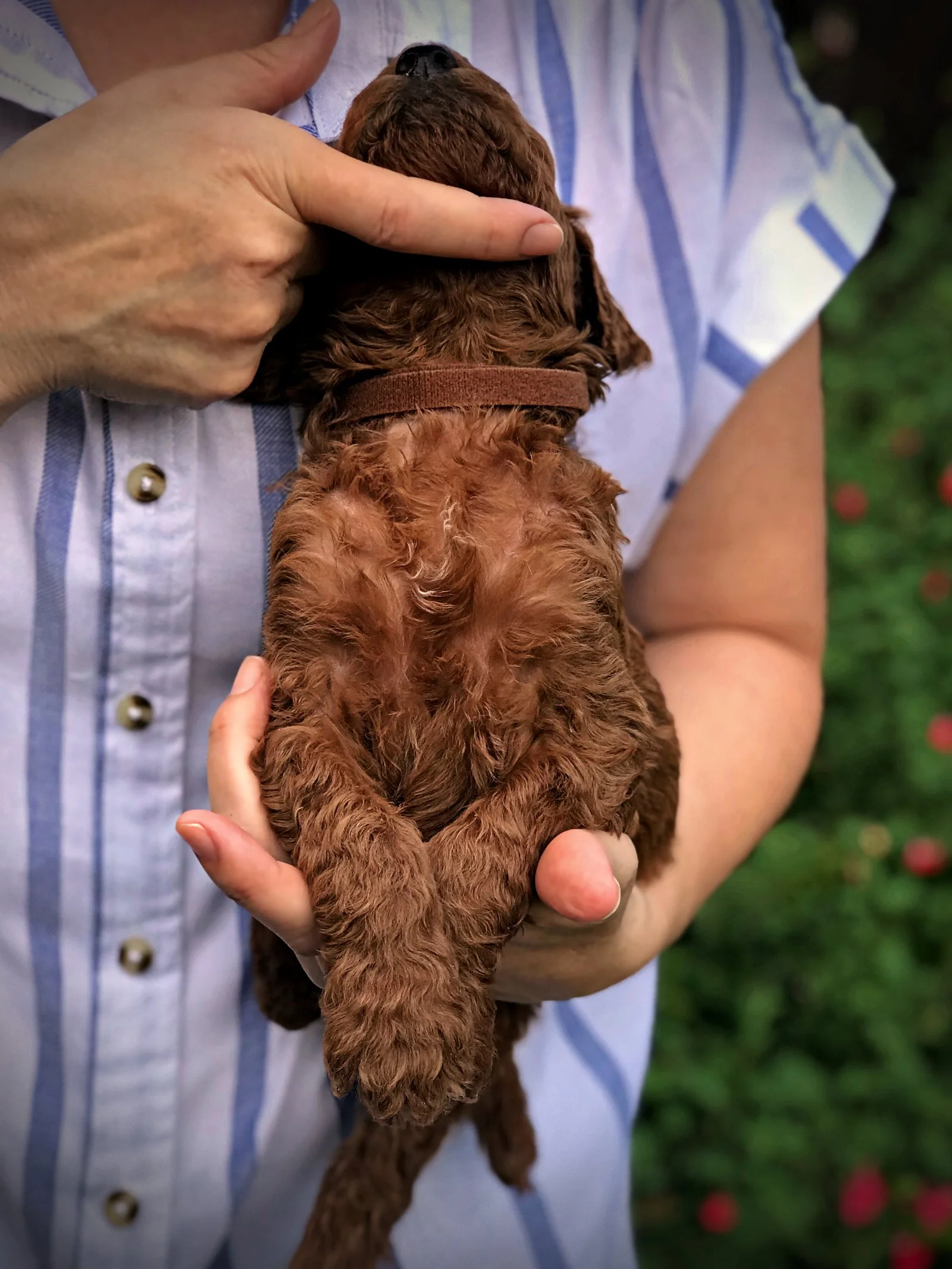 4 Weeks Old!