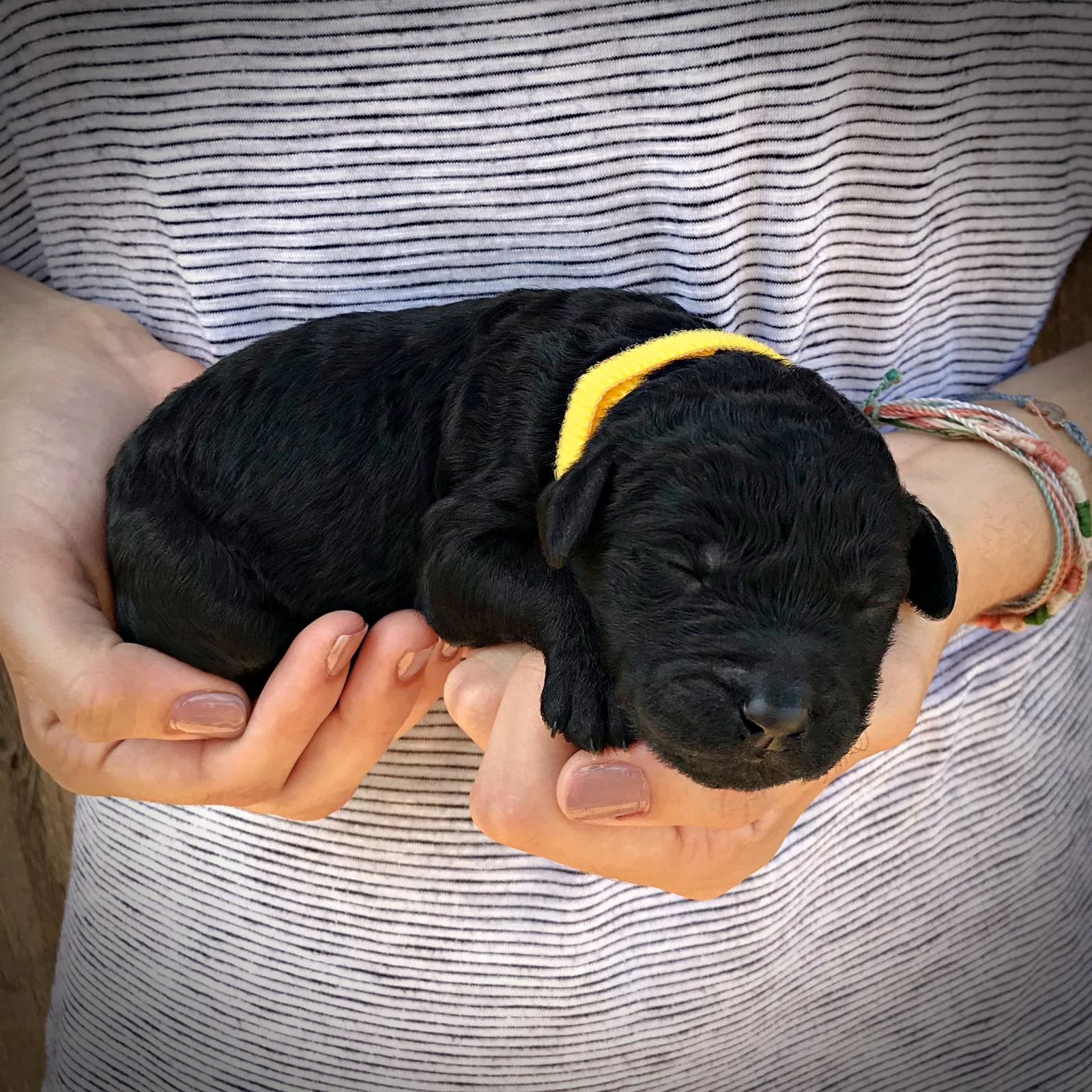 1 Week Old!