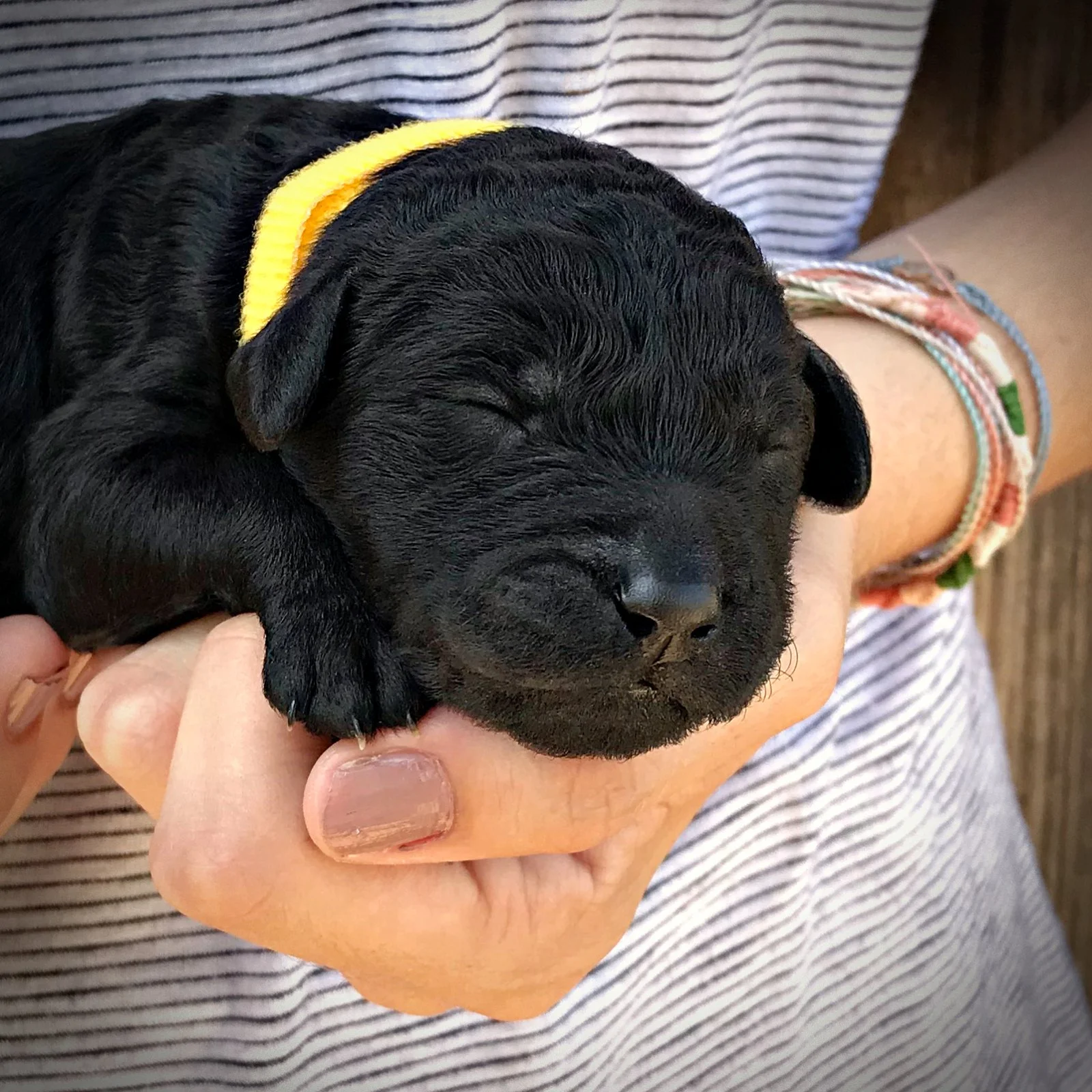 1 Week Old!