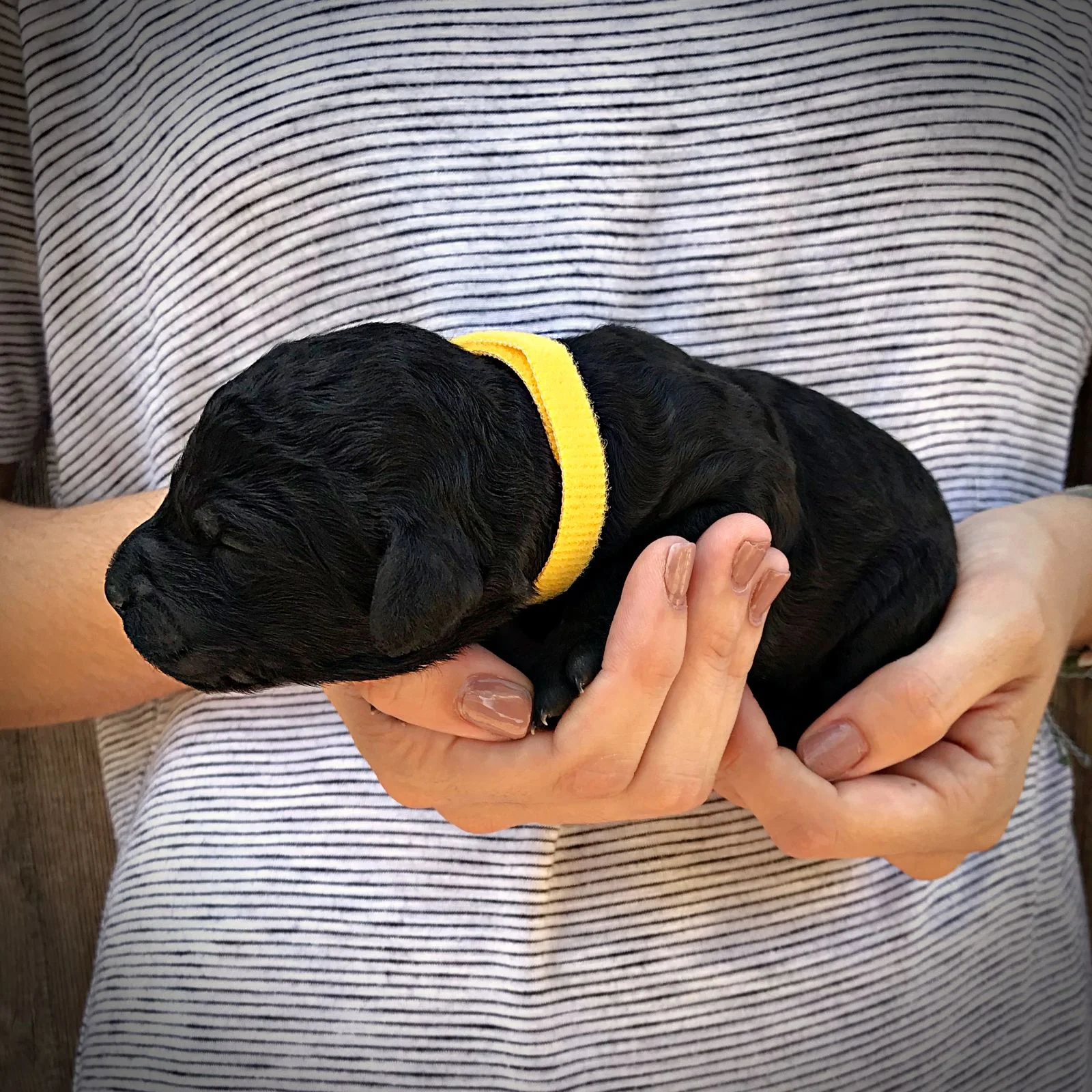 1 Week Old!
