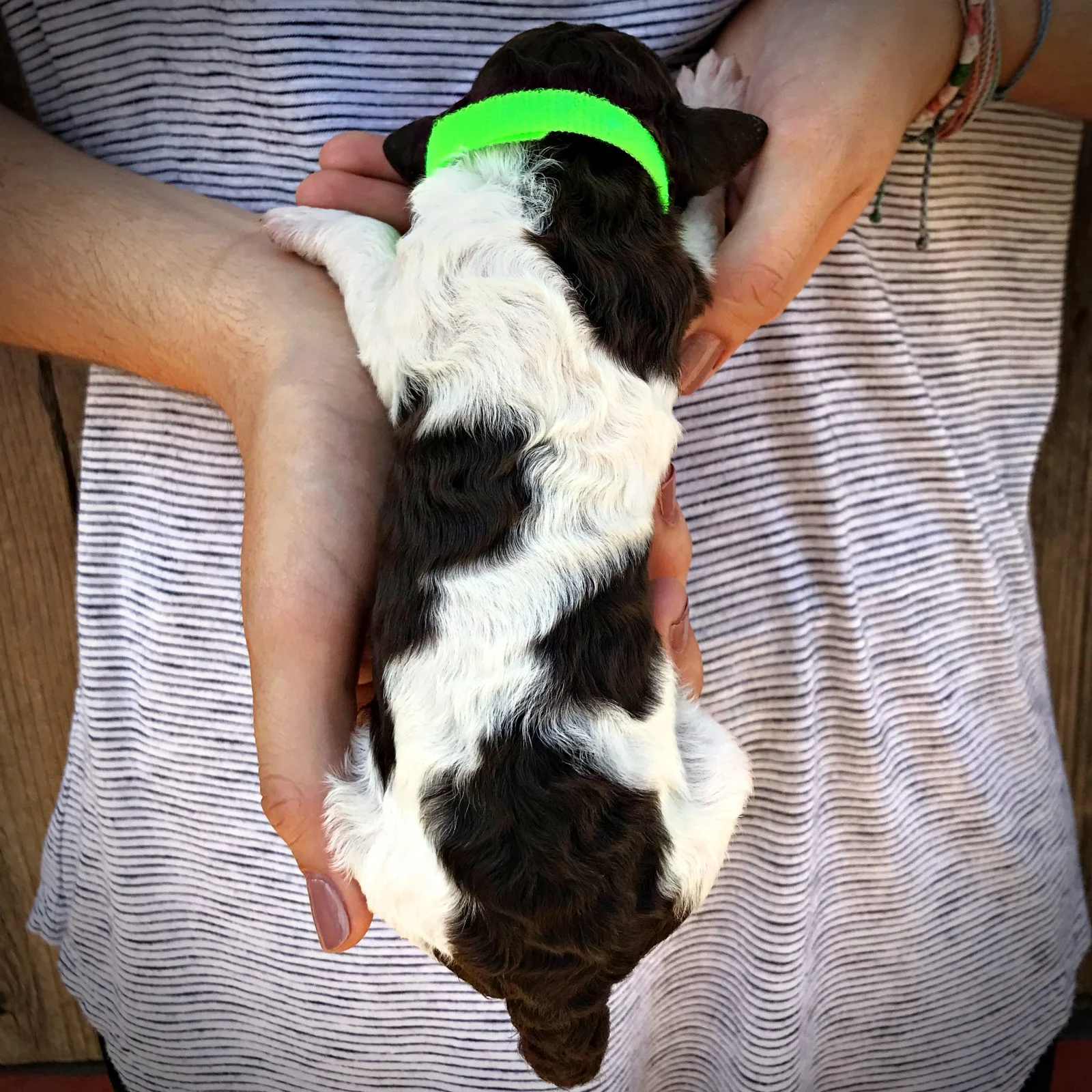 1 Week Old!