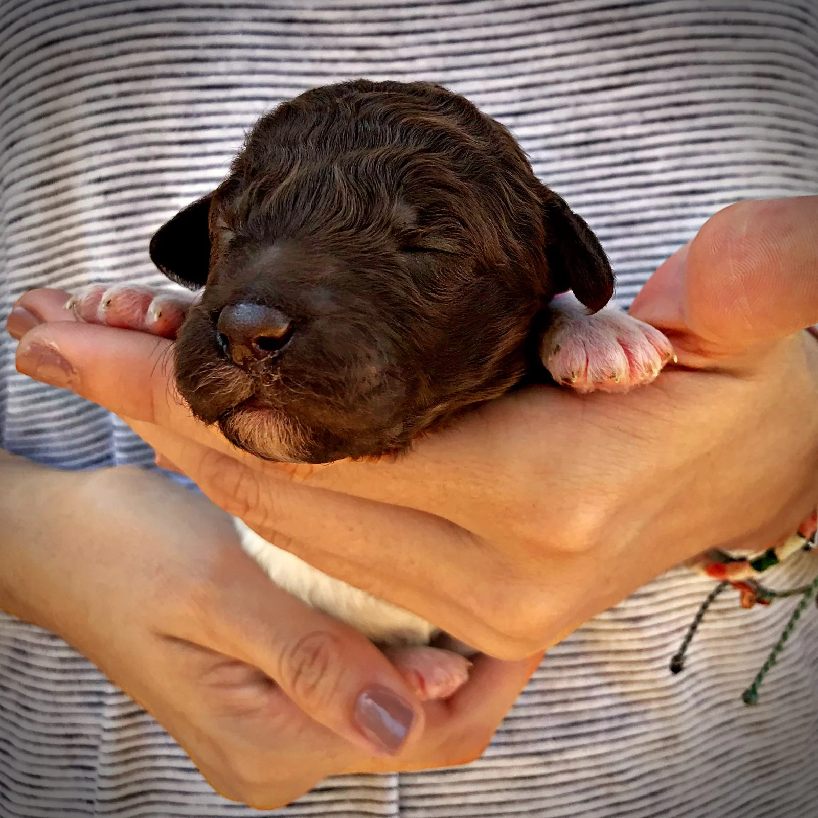 1 Week Old!