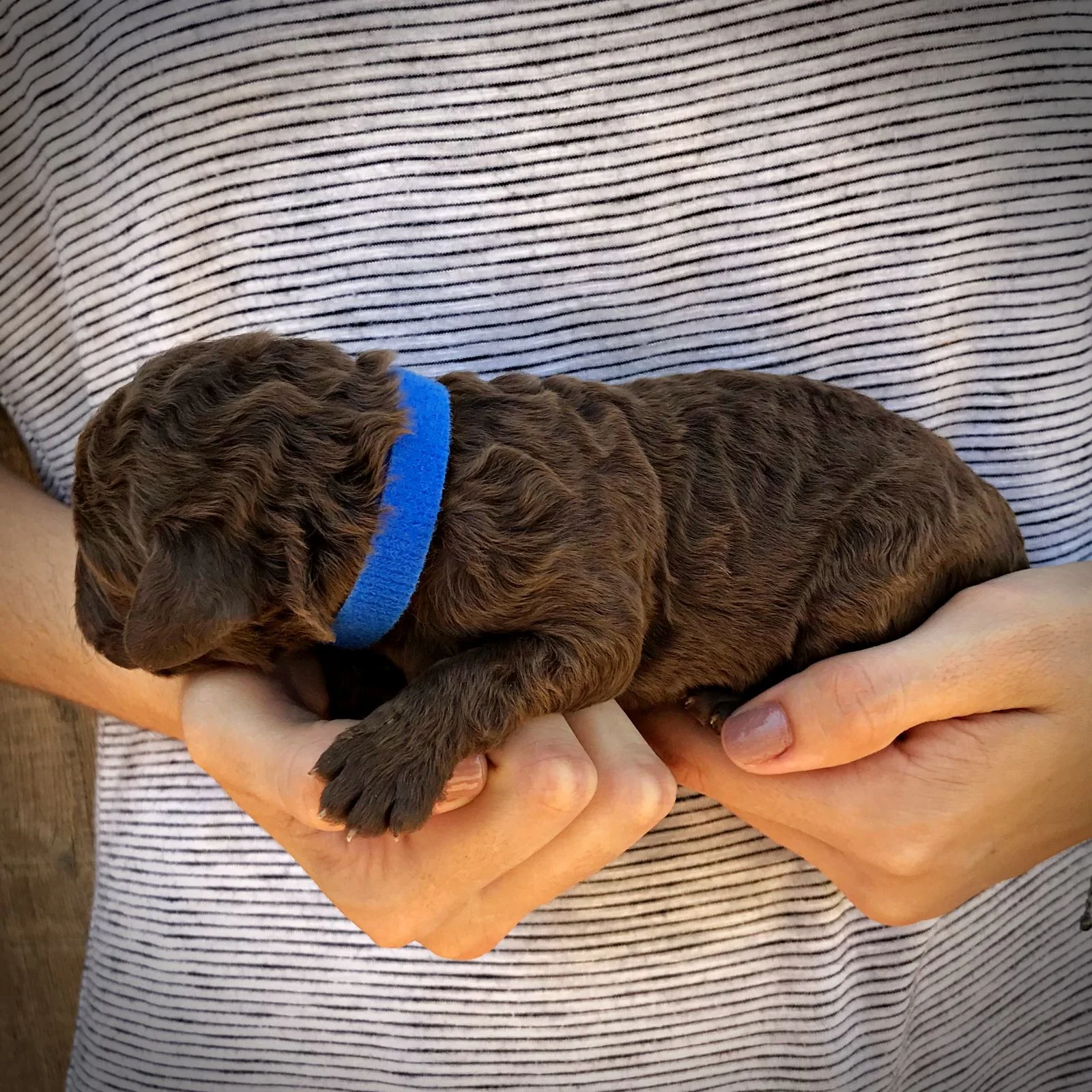 1 Week Old!