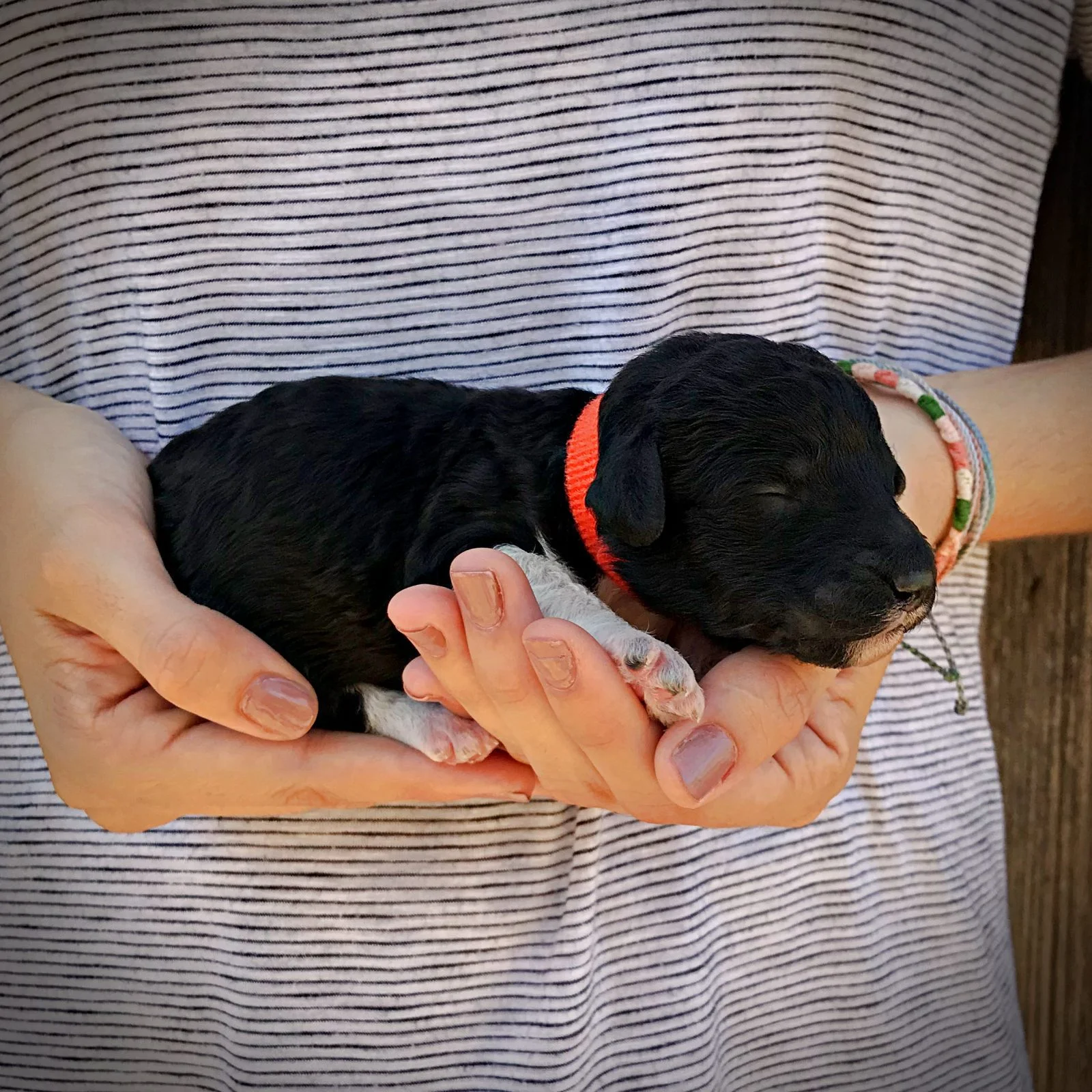 1 Week Old!