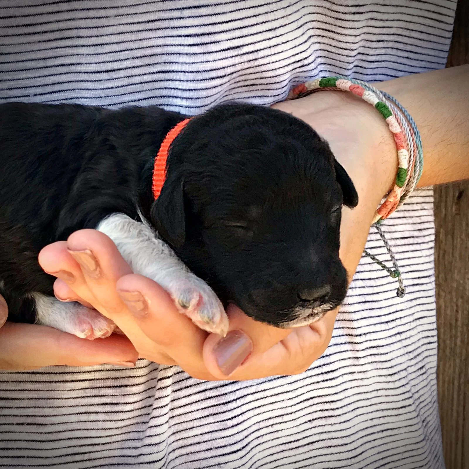 1 Week Old!