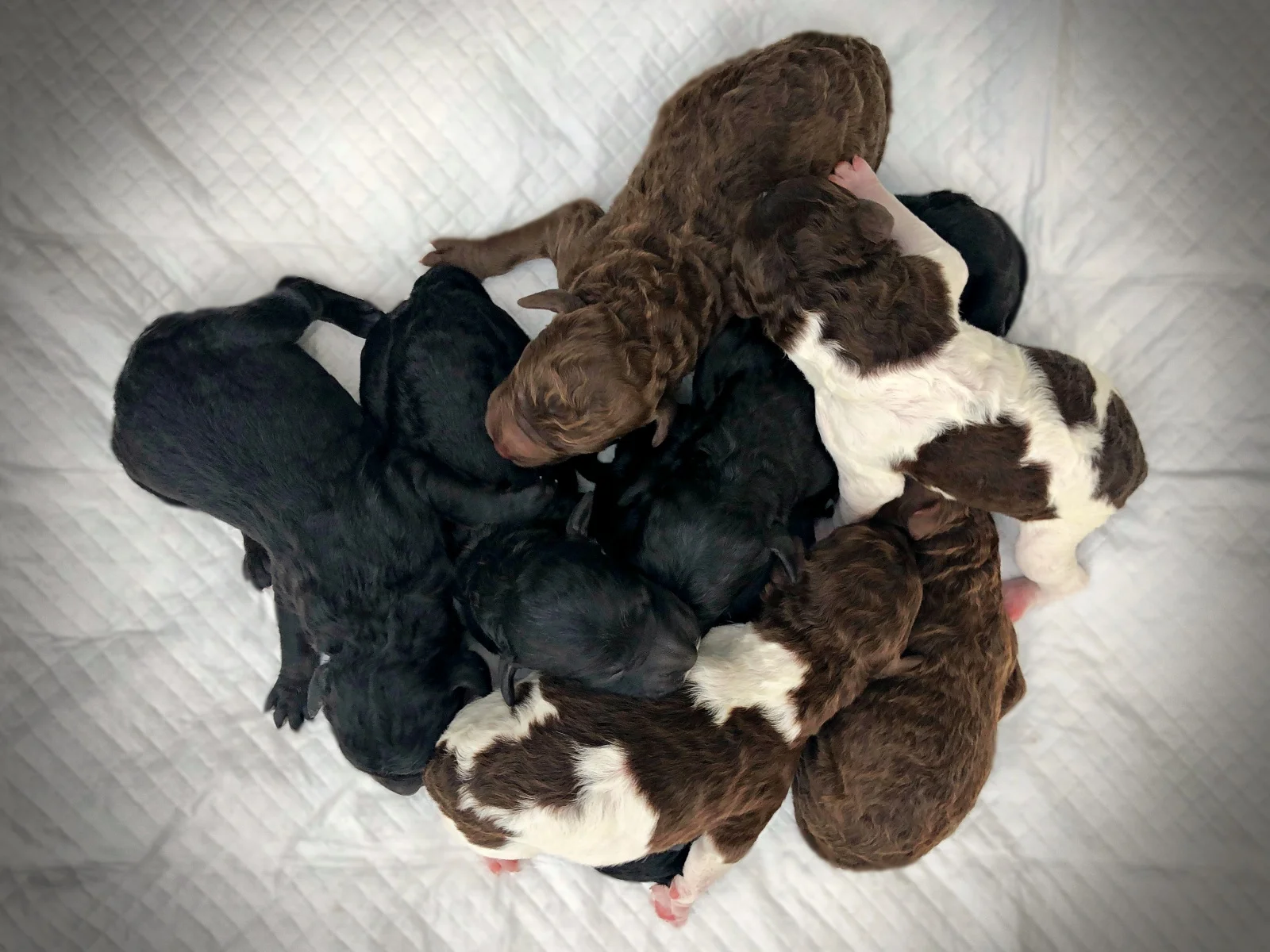 1 Day Old!