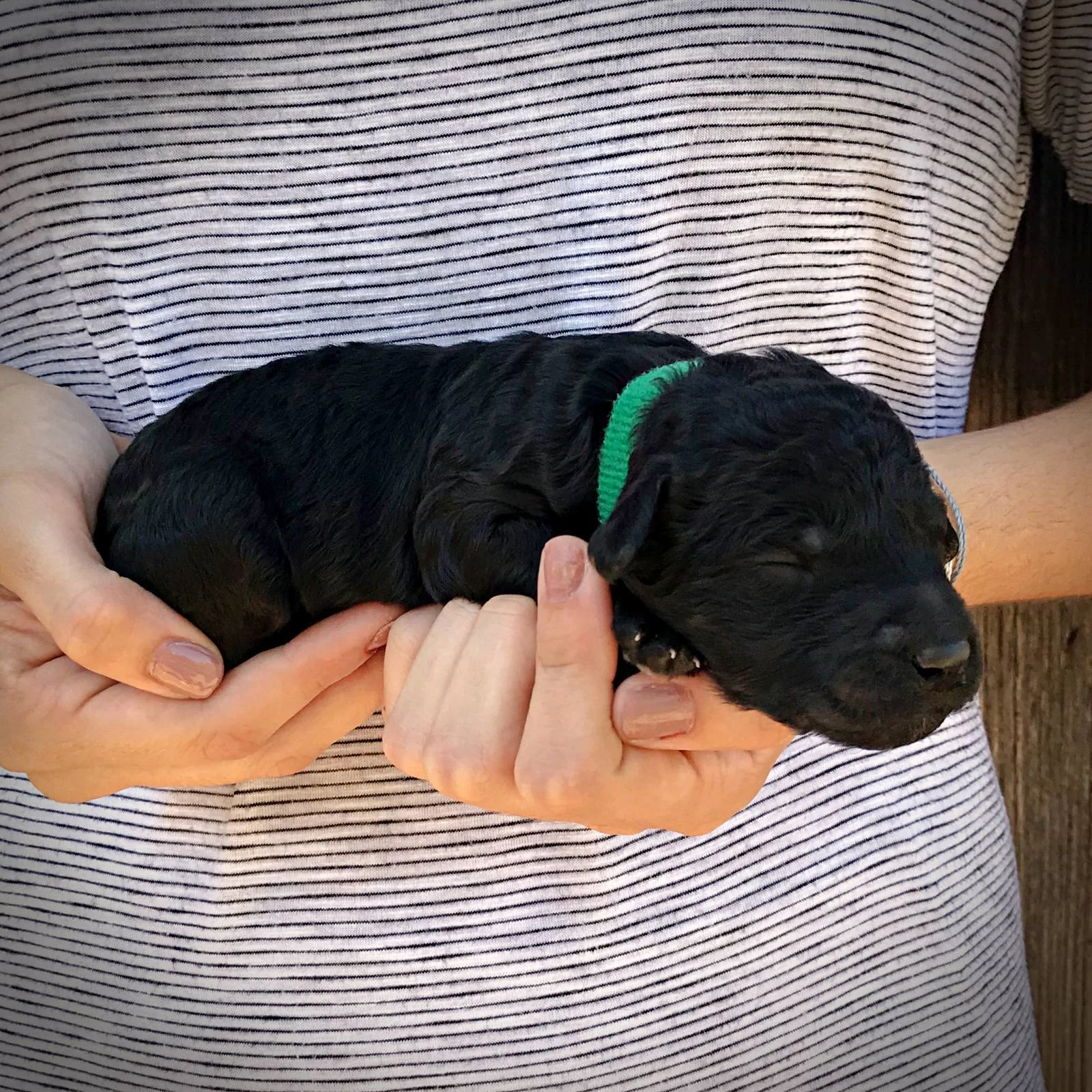 1 Week Old!