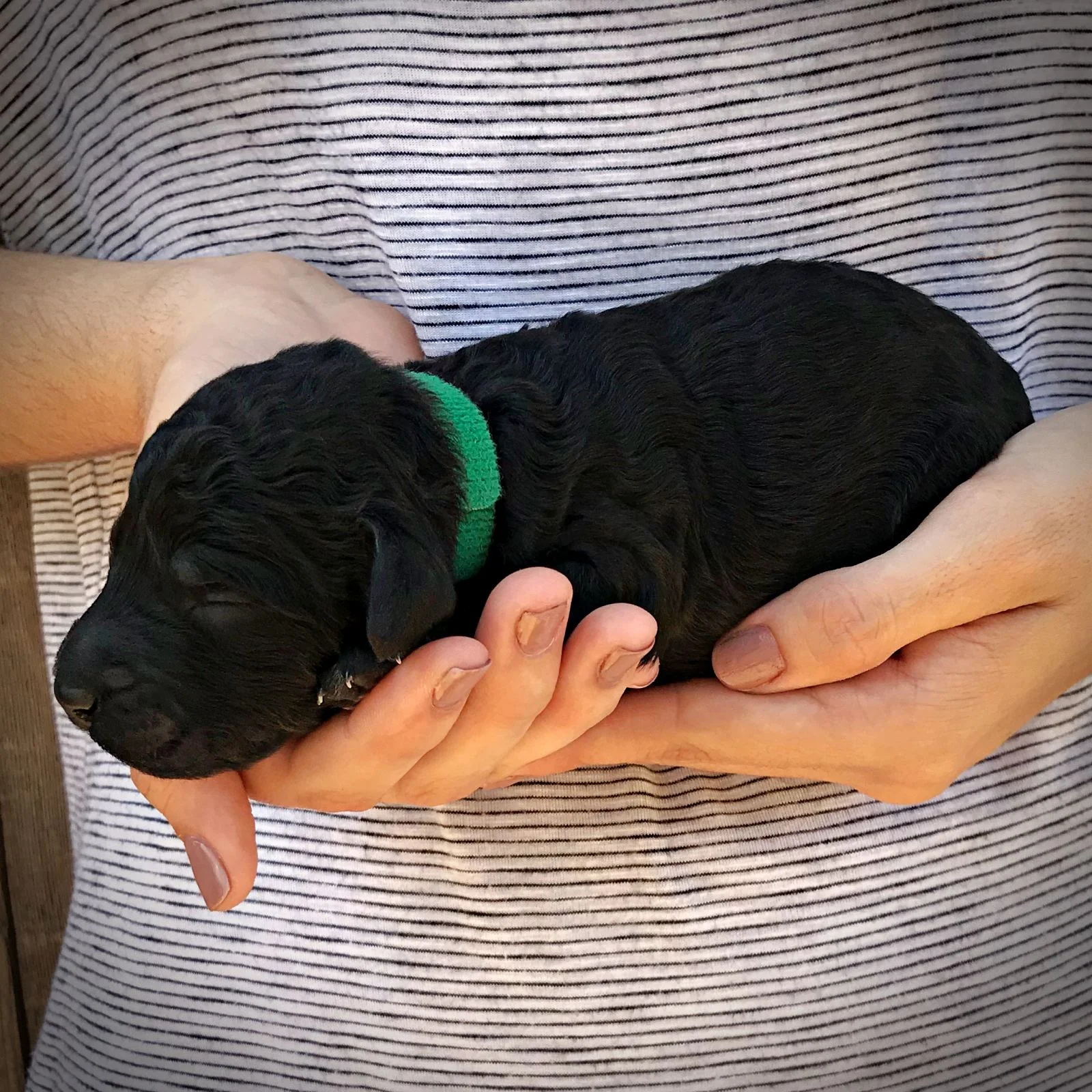 1 Week Old!