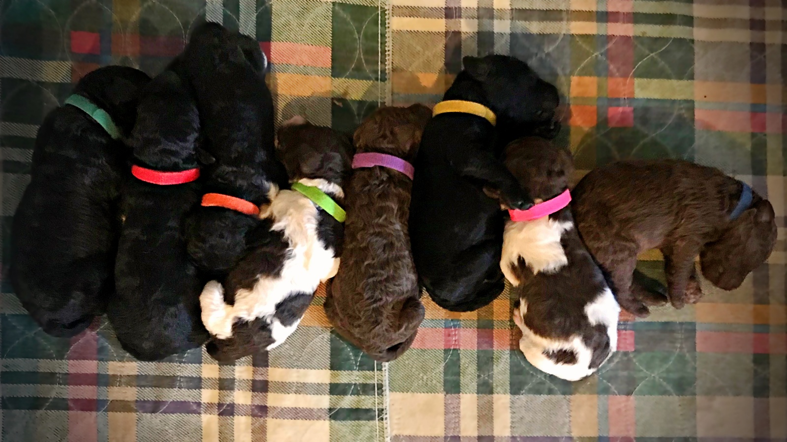 1 Week Old!