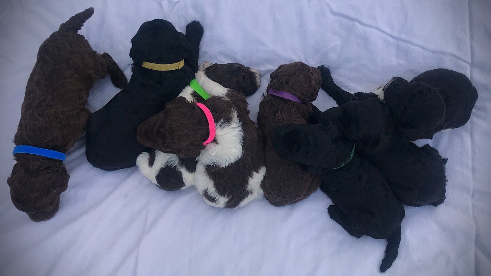 3 Weeks Old!