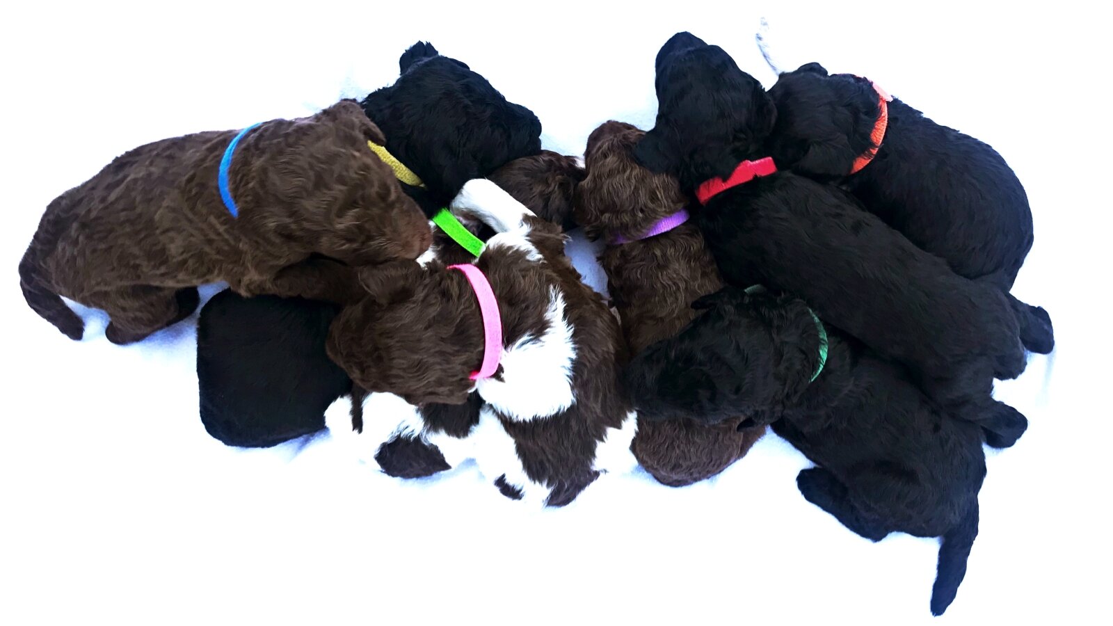 3 Weeks Old!