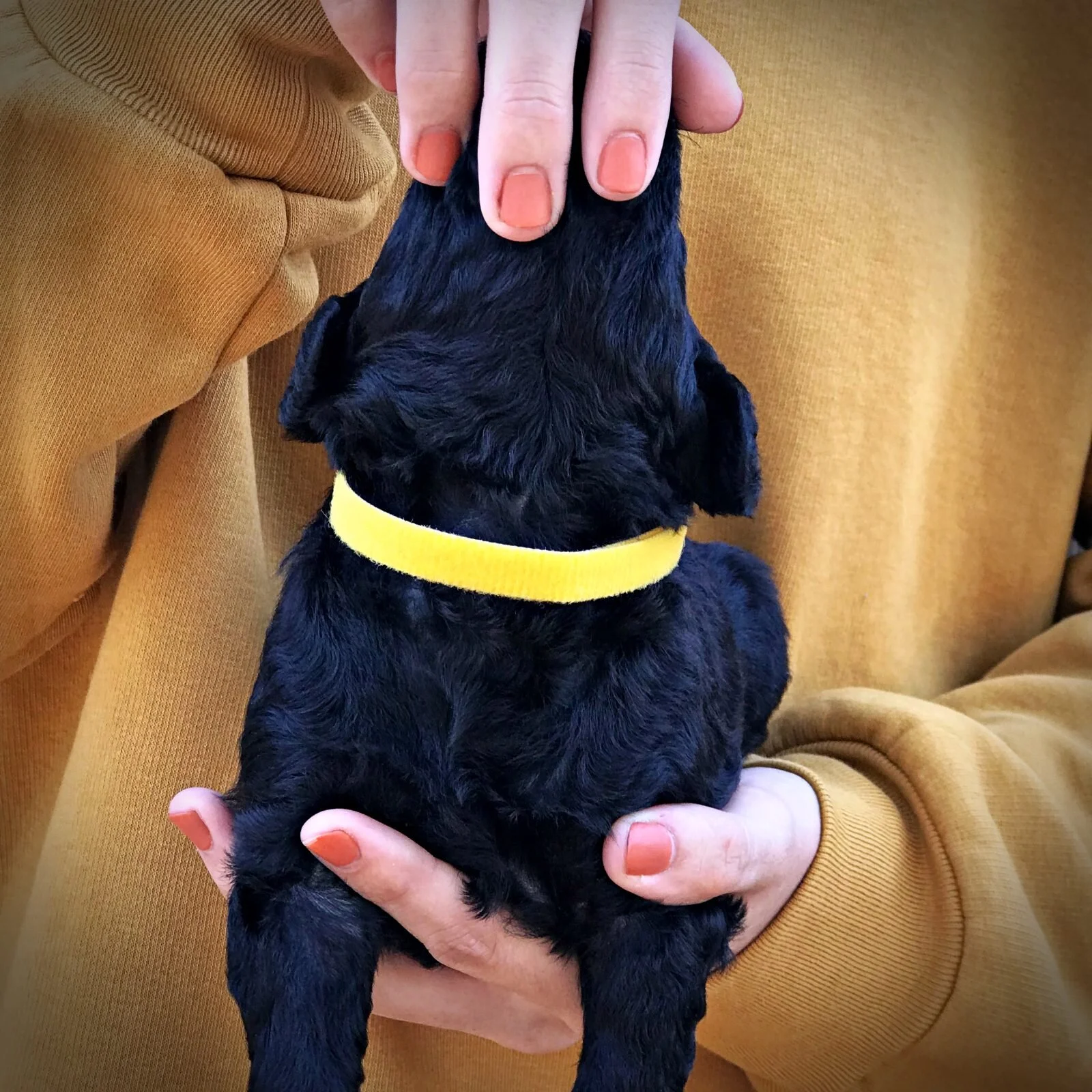 3 Weeks Old!