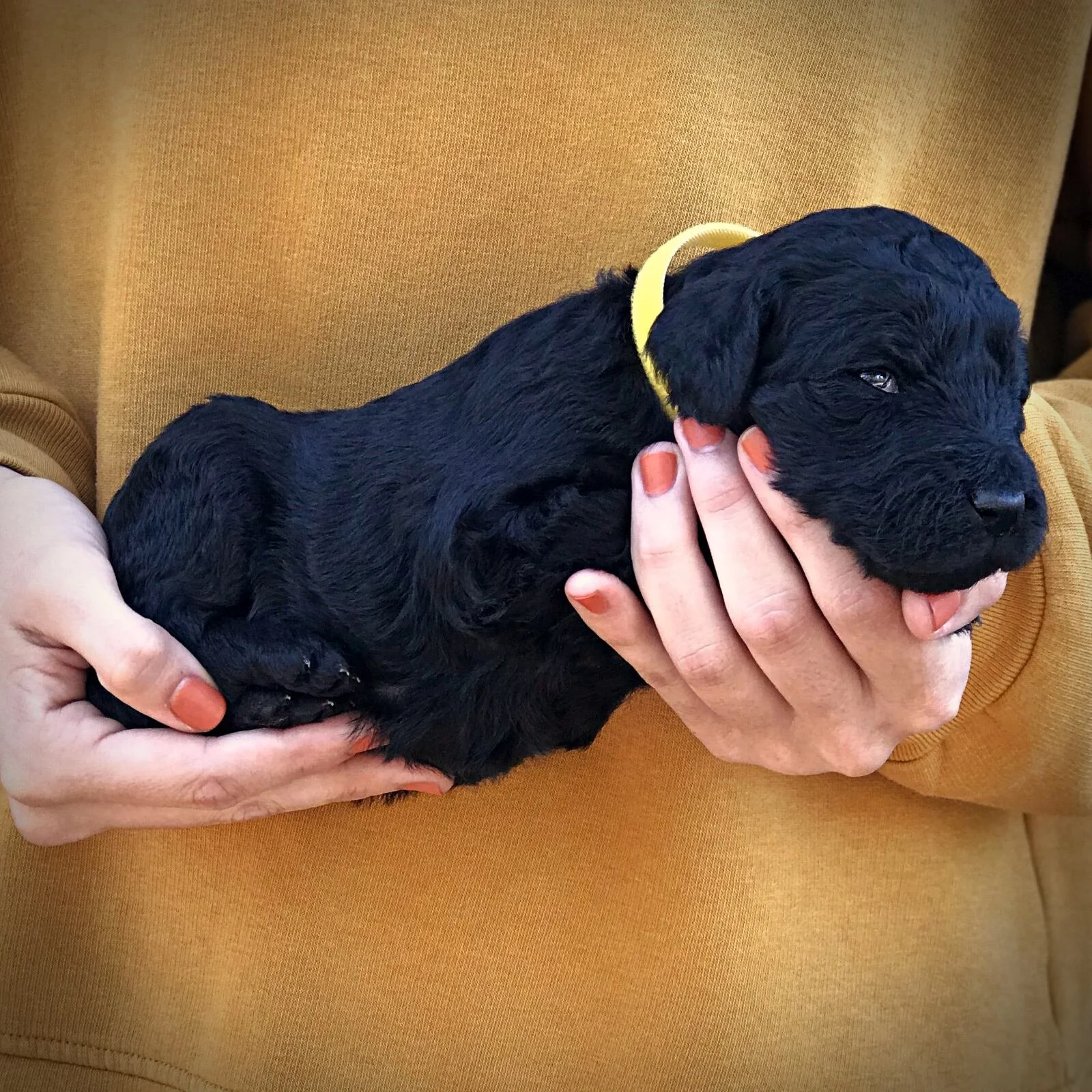 3 Weeks Old!