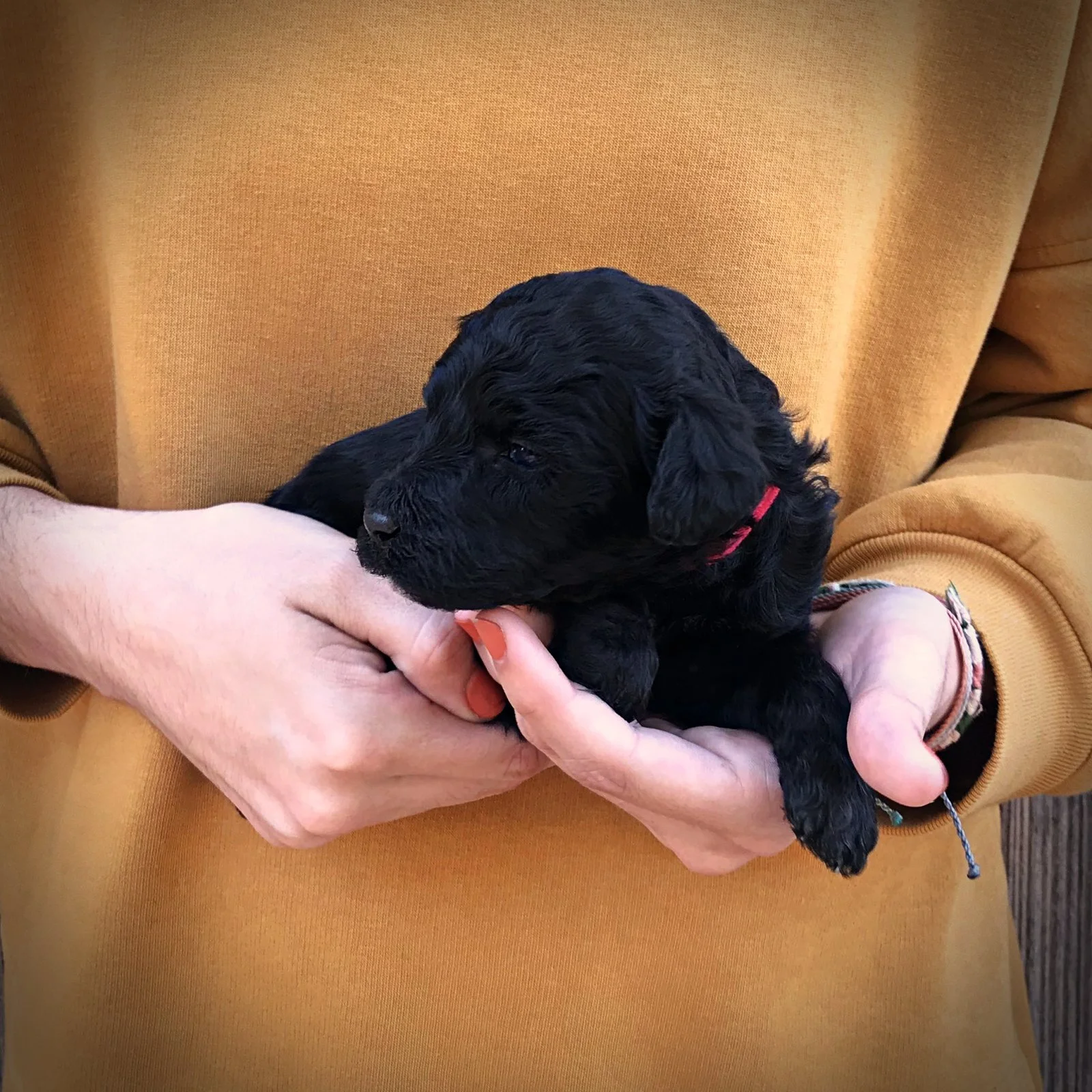 3 Weeks Old!