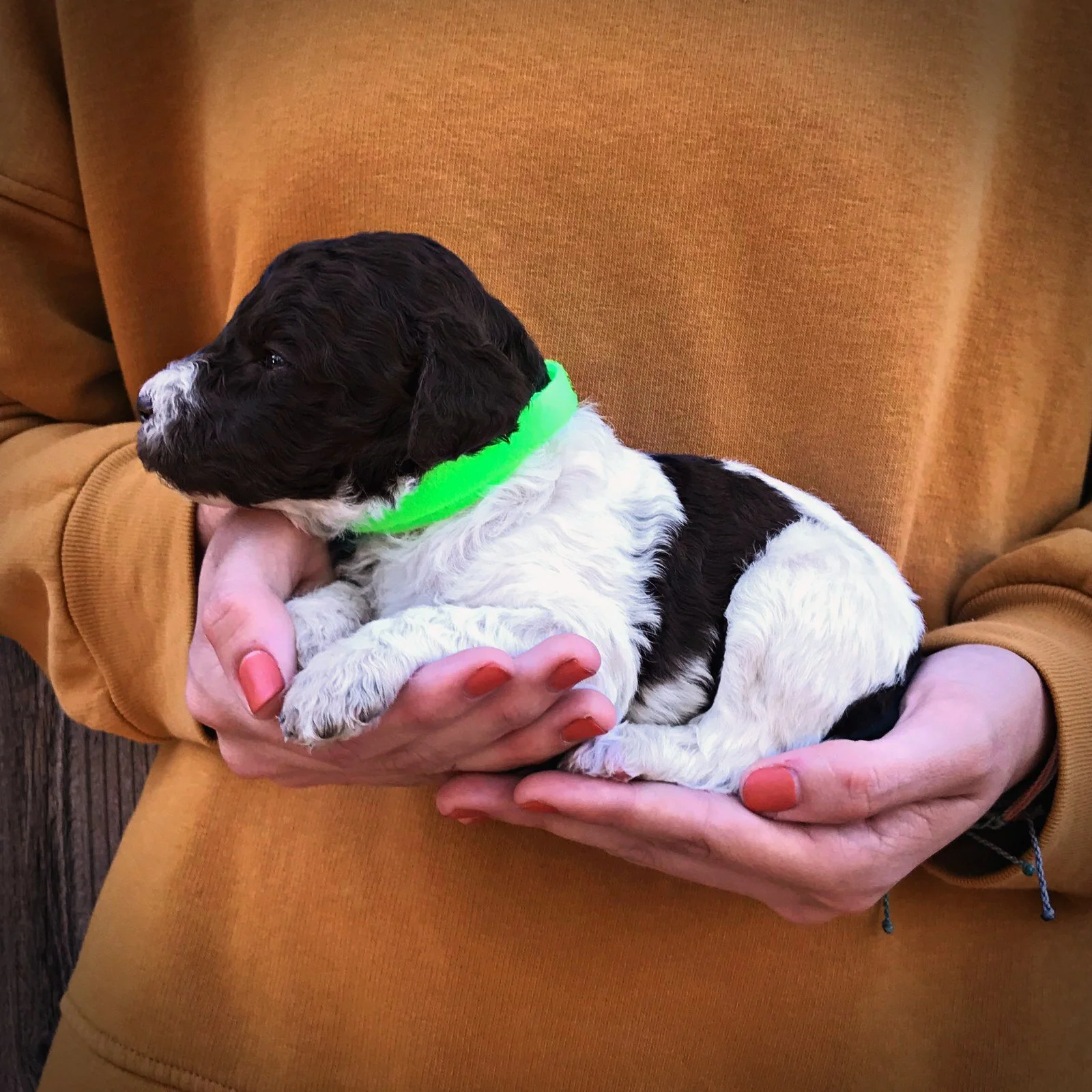 3 Weeks Old!