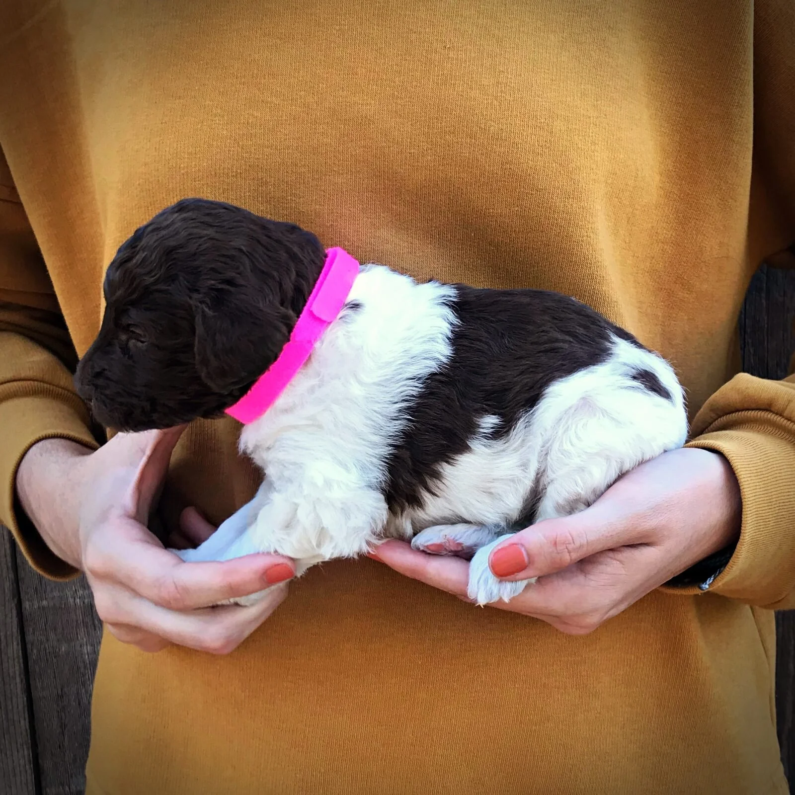 3 Weeks Old!