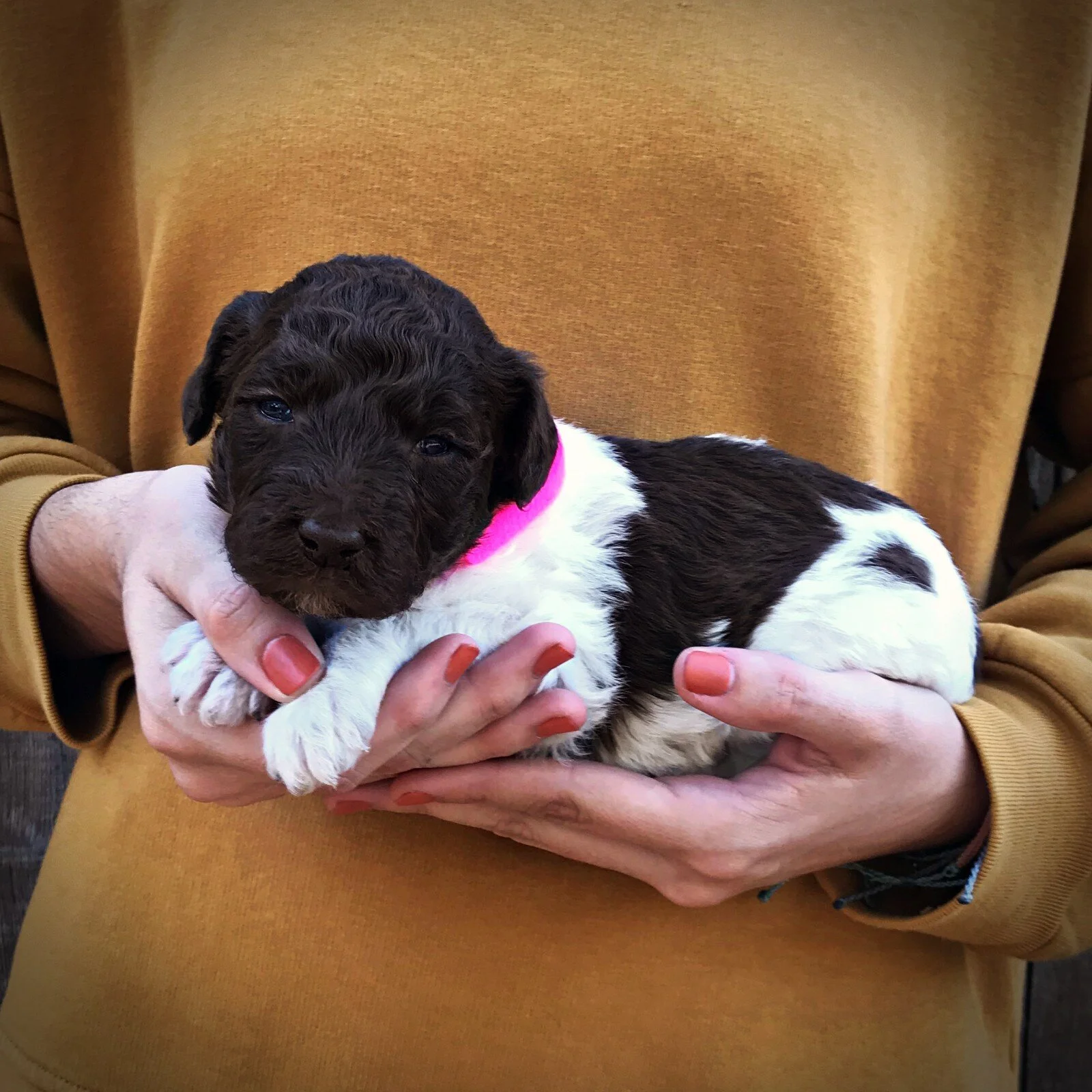 3 Weeks Old!