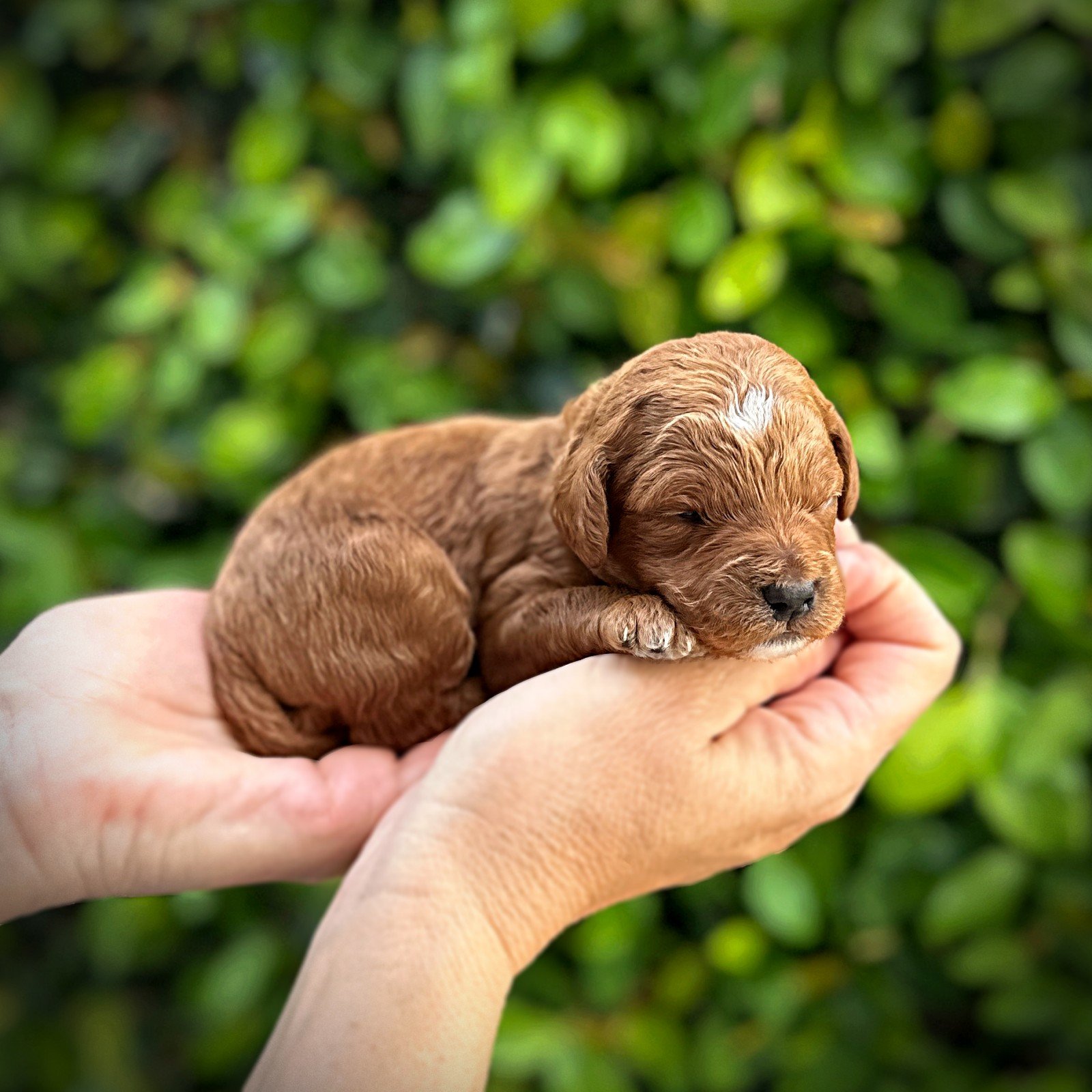 2 Weeks Old!