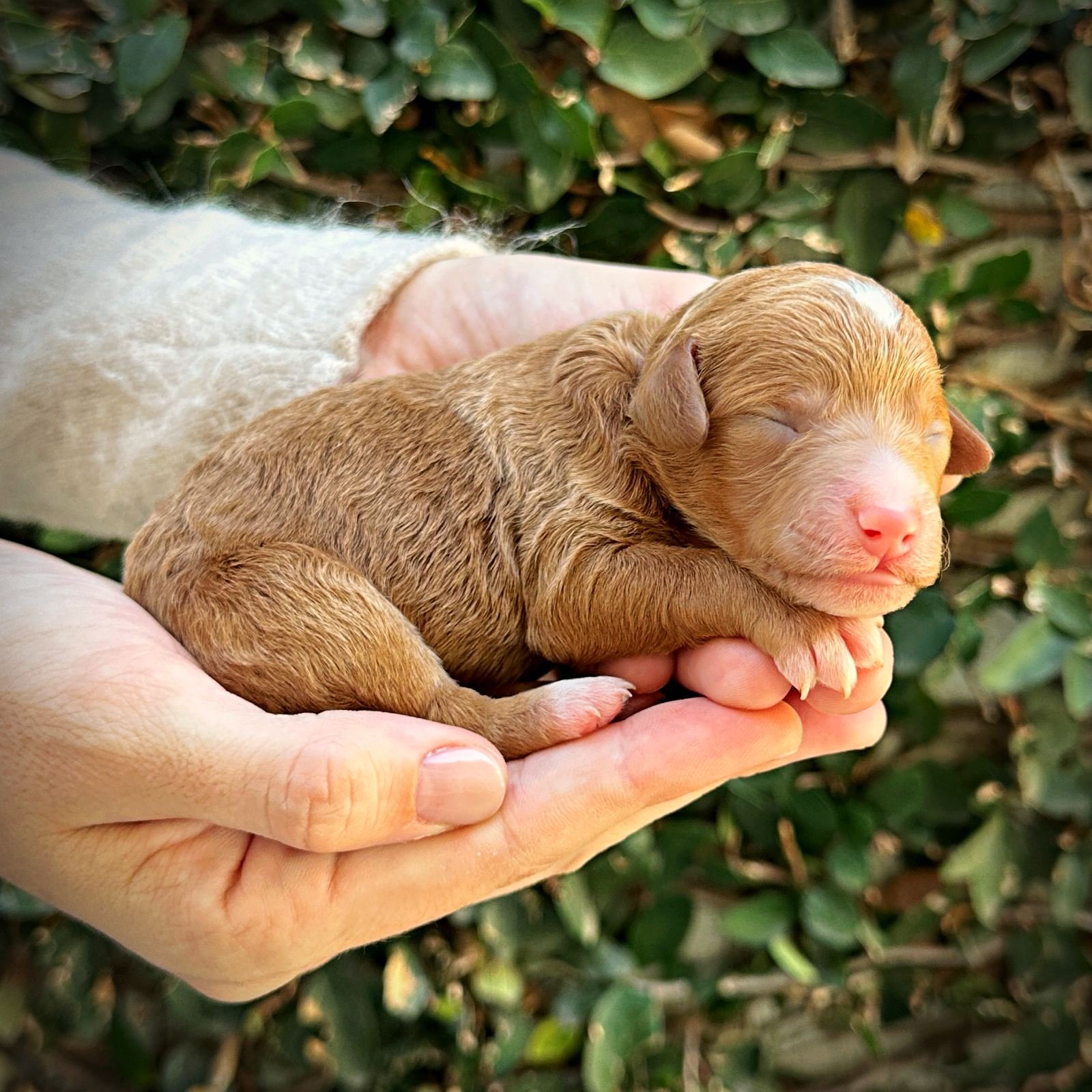 2 Days Old!