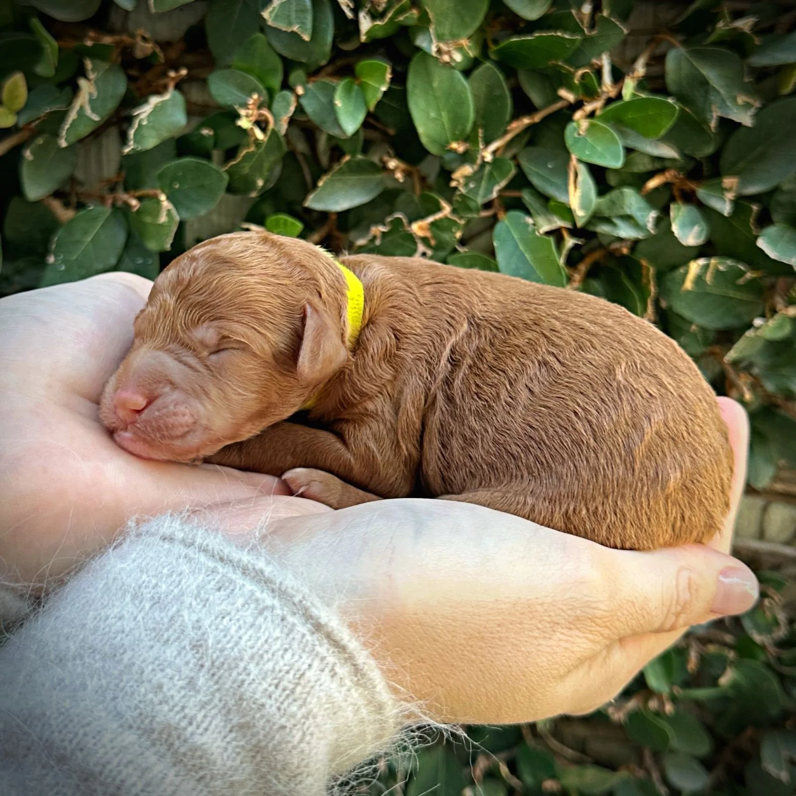 2 Days Old!