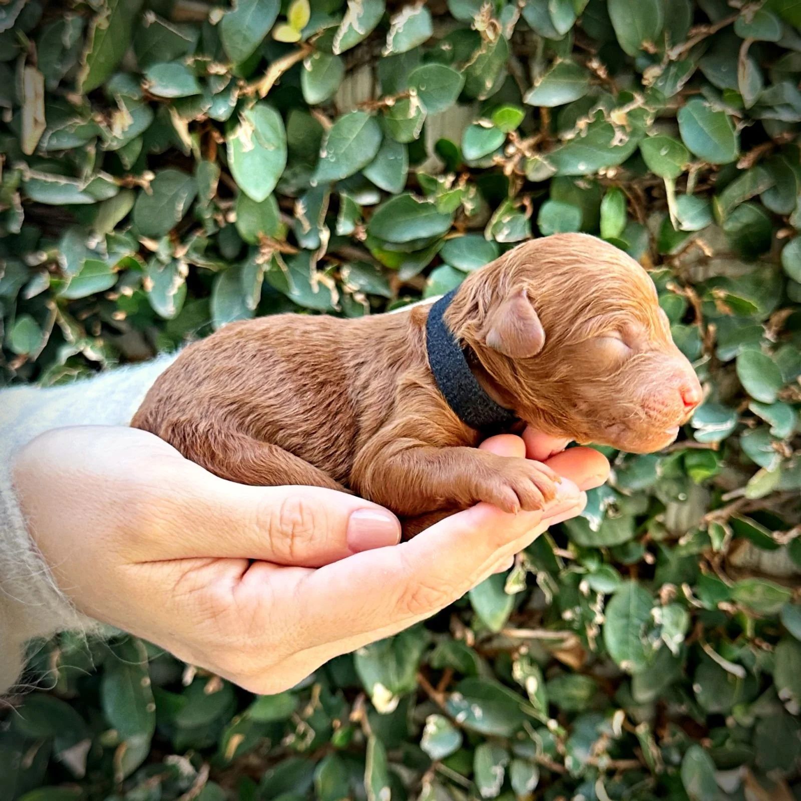 2 Days Old!