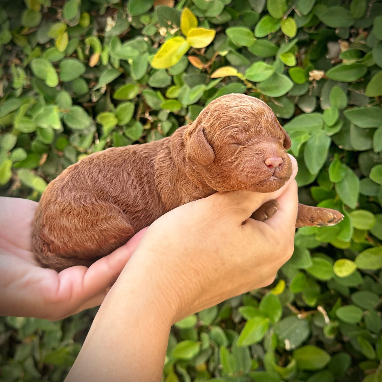5 Days Old!