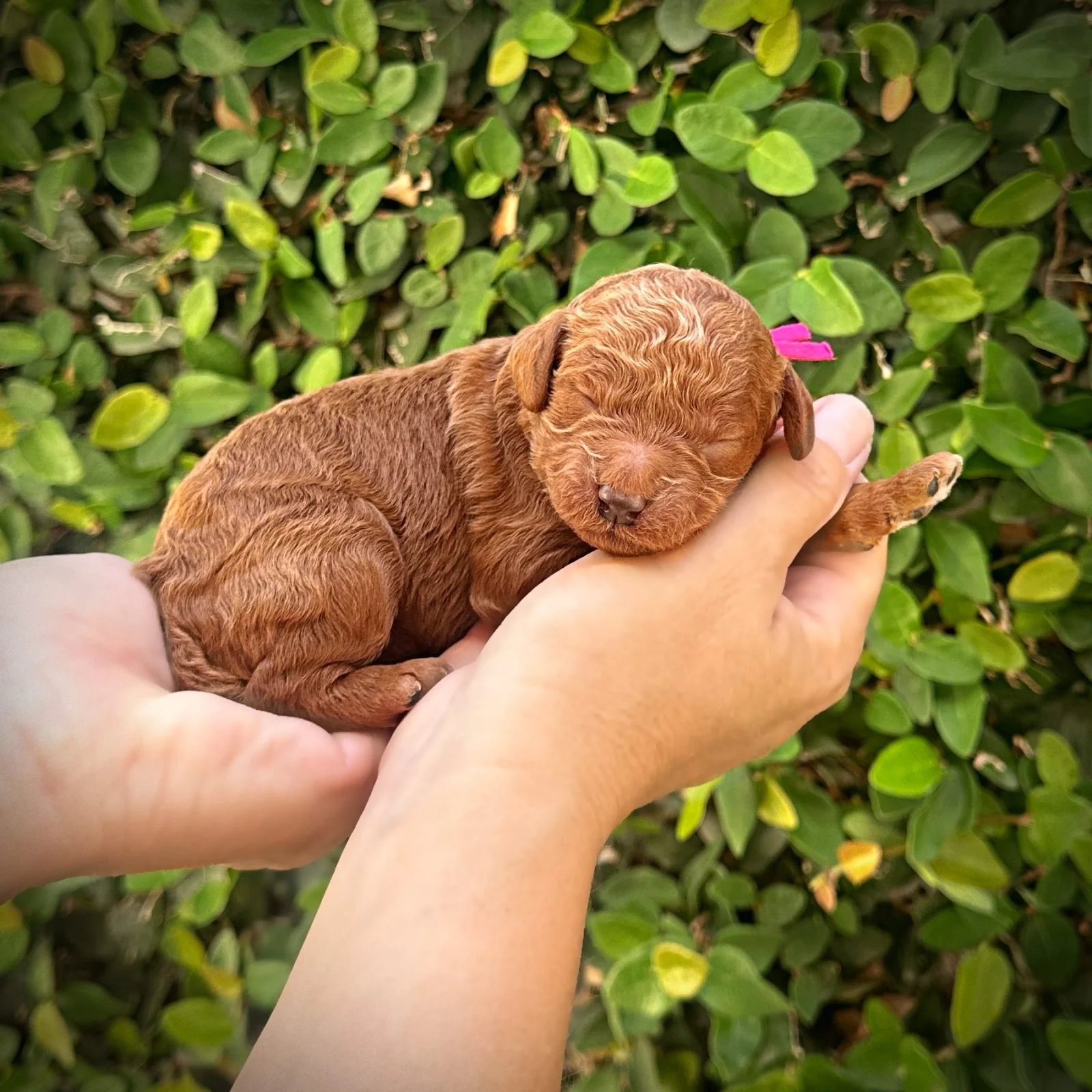 5 Days Old!