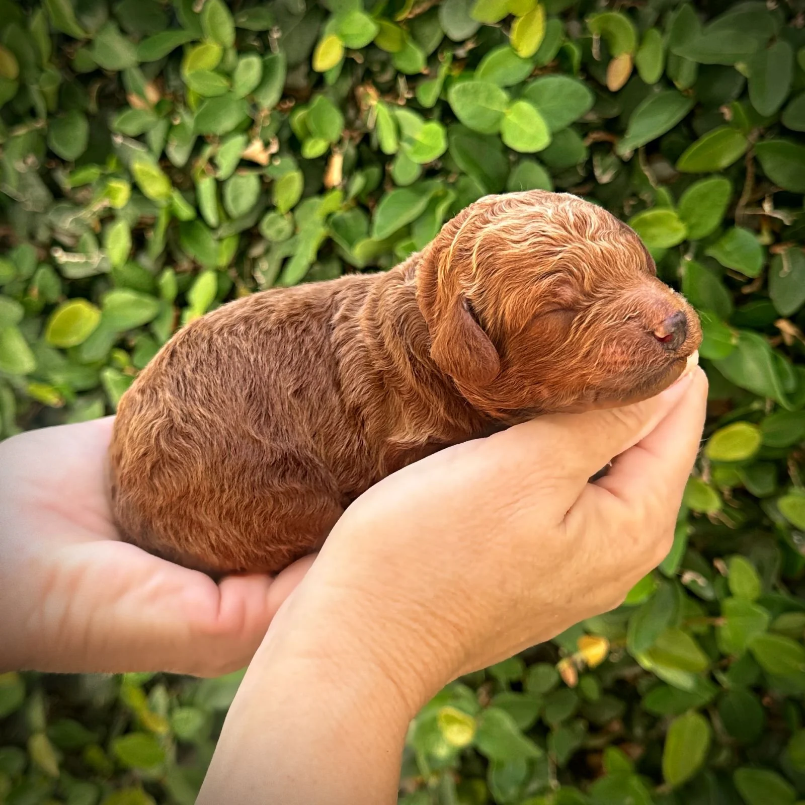5 Days Old!