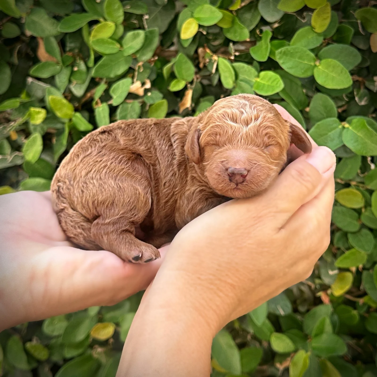 5 Days Old!
