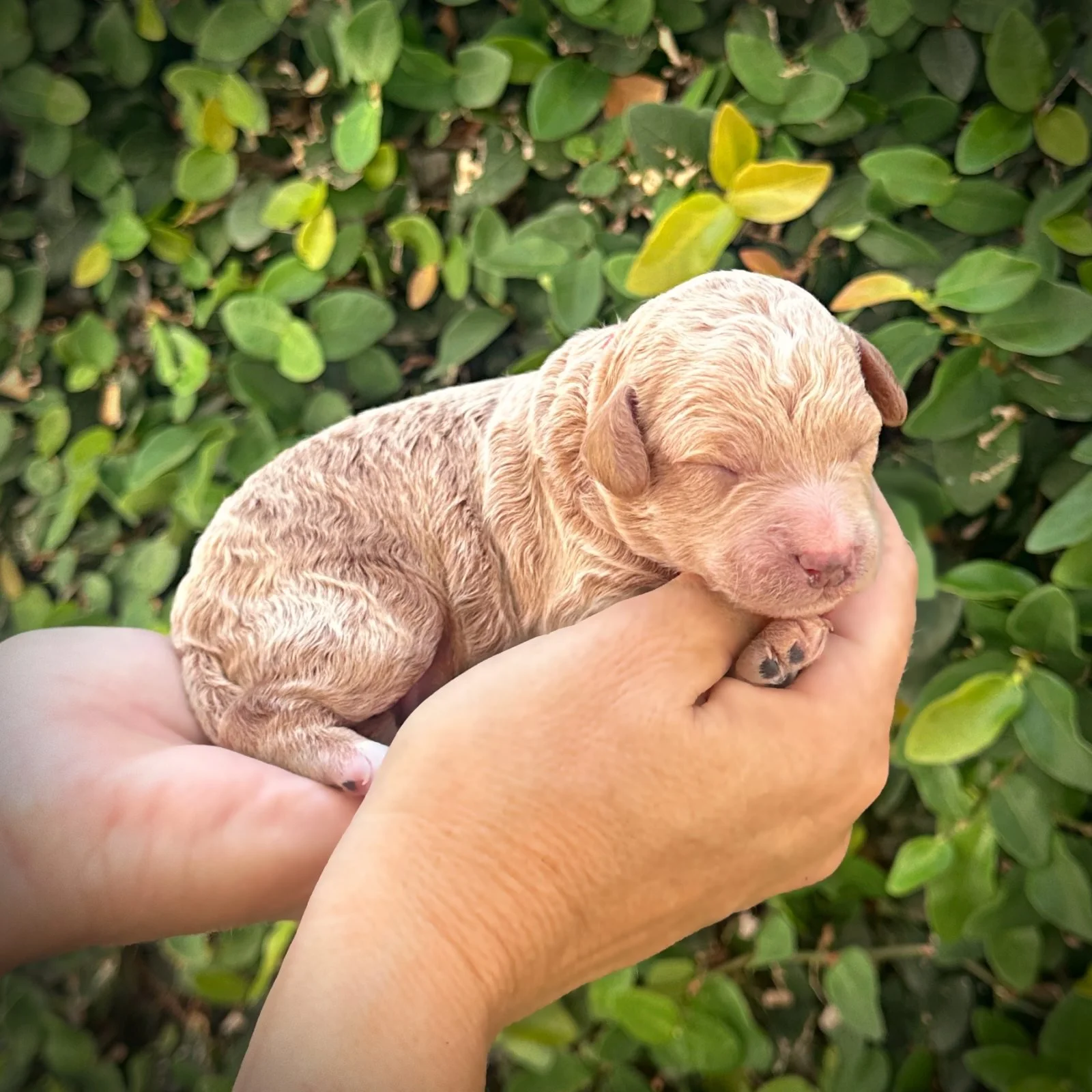 5 Days Old!