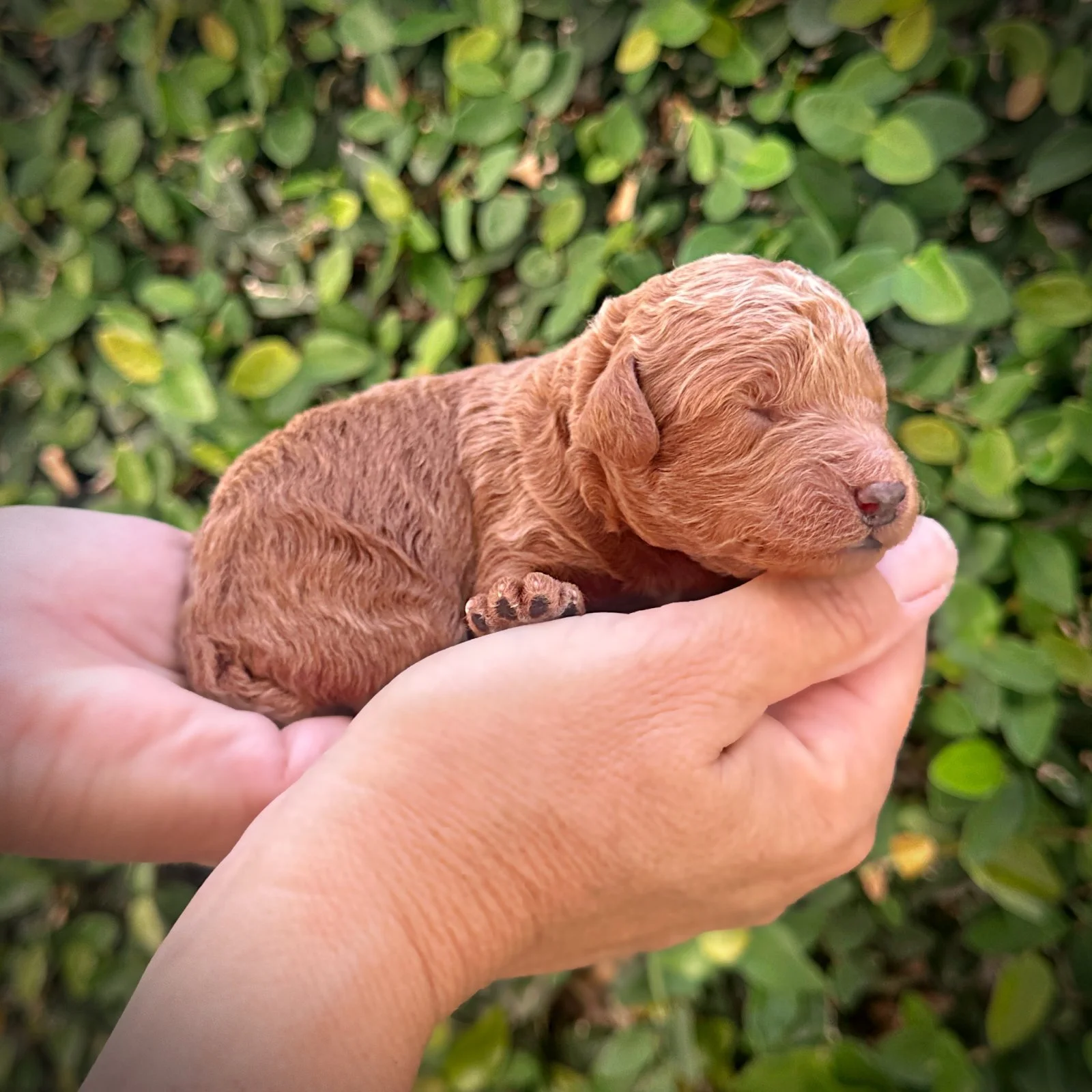 5 Days Old!