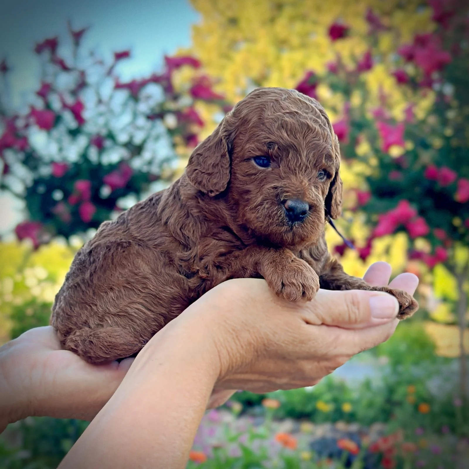 3 Weeks Old!
