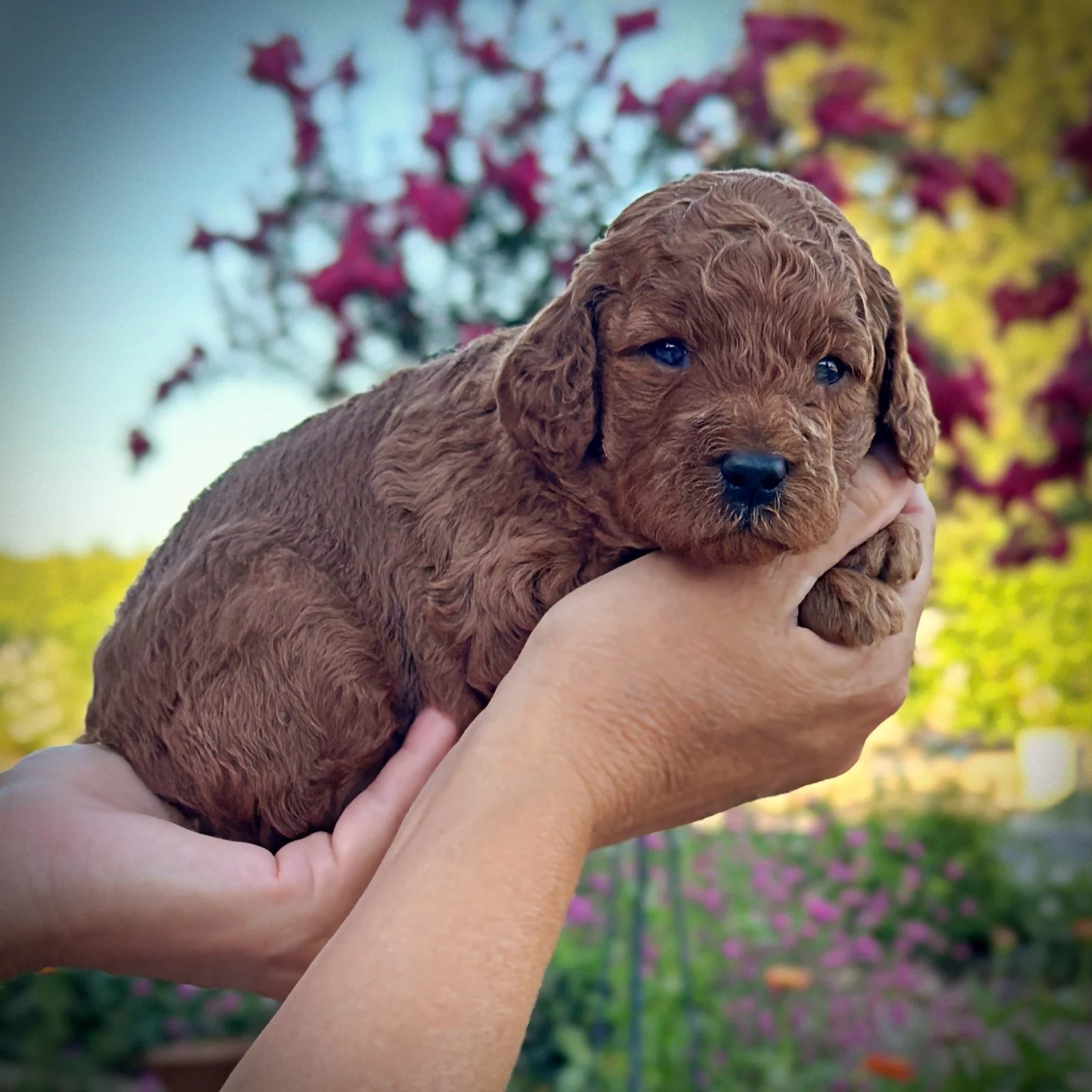 3 Weeks Old!
