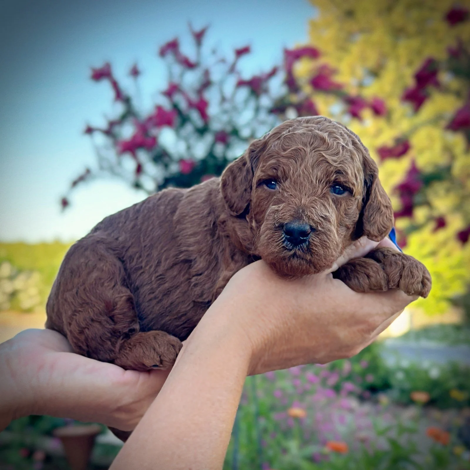 3 Weeks Old!
