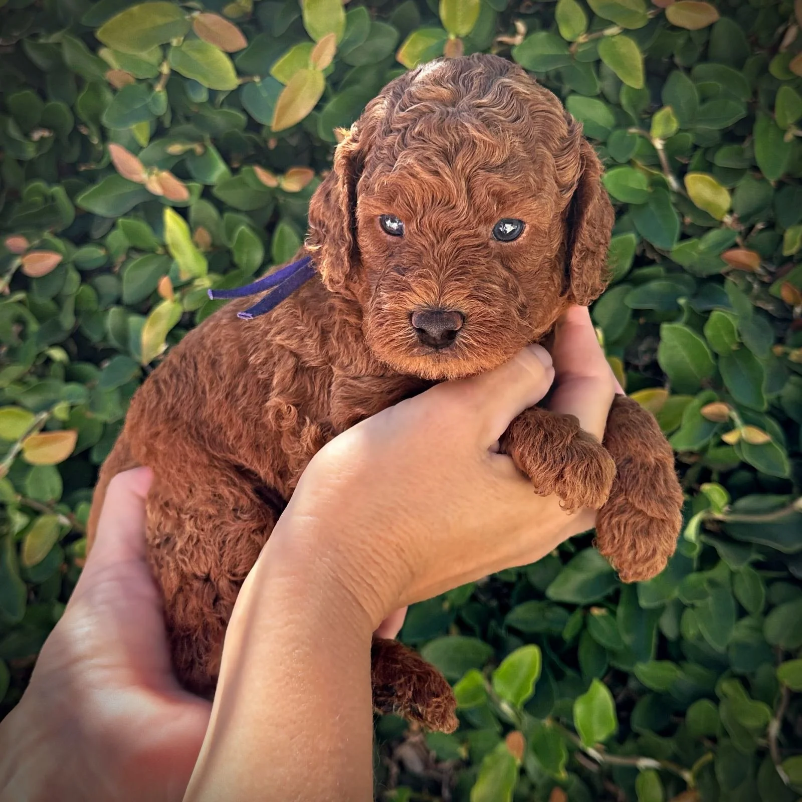 4 Weeks Old!