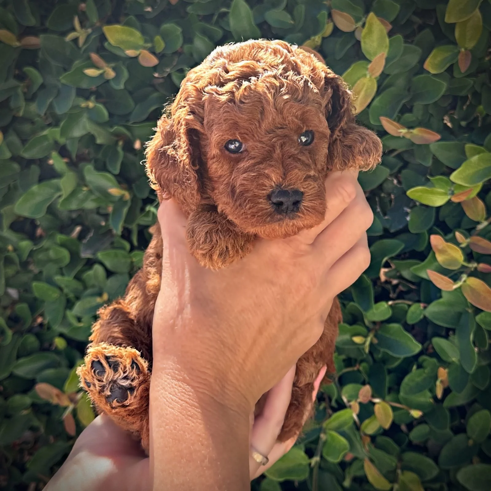 4 Weeks Old!
