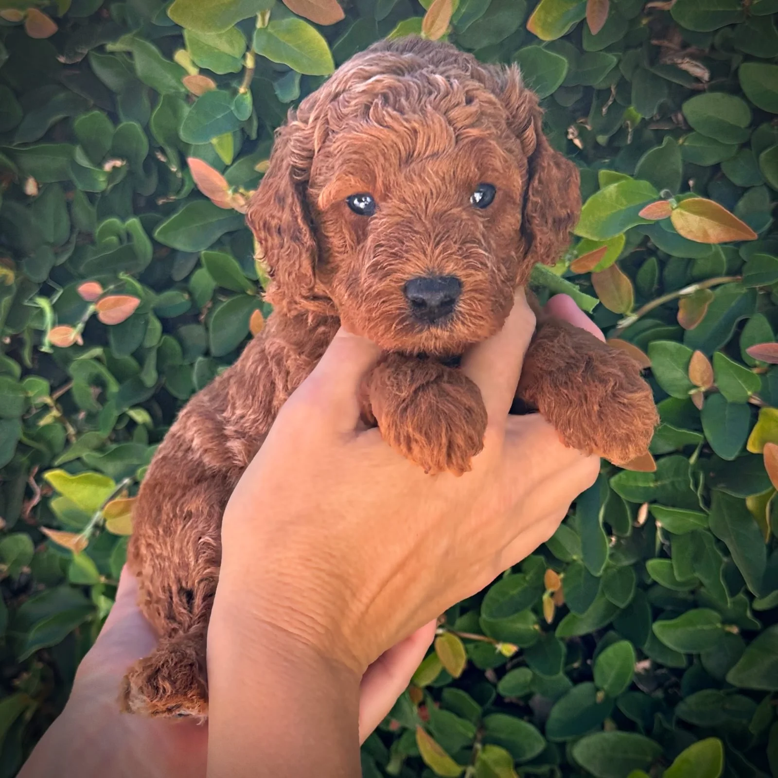 4 Weeks Old!