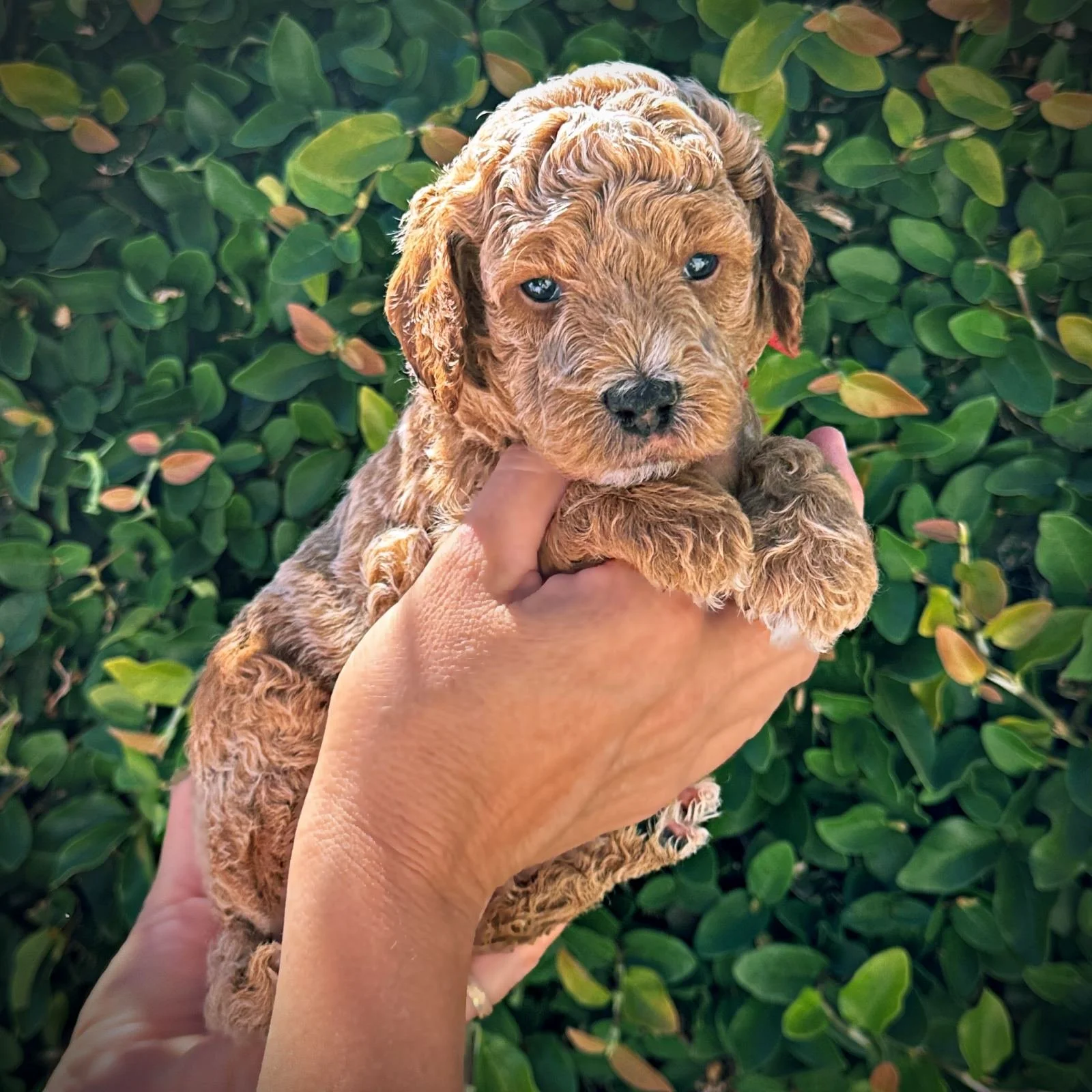 4 Weeks Old!