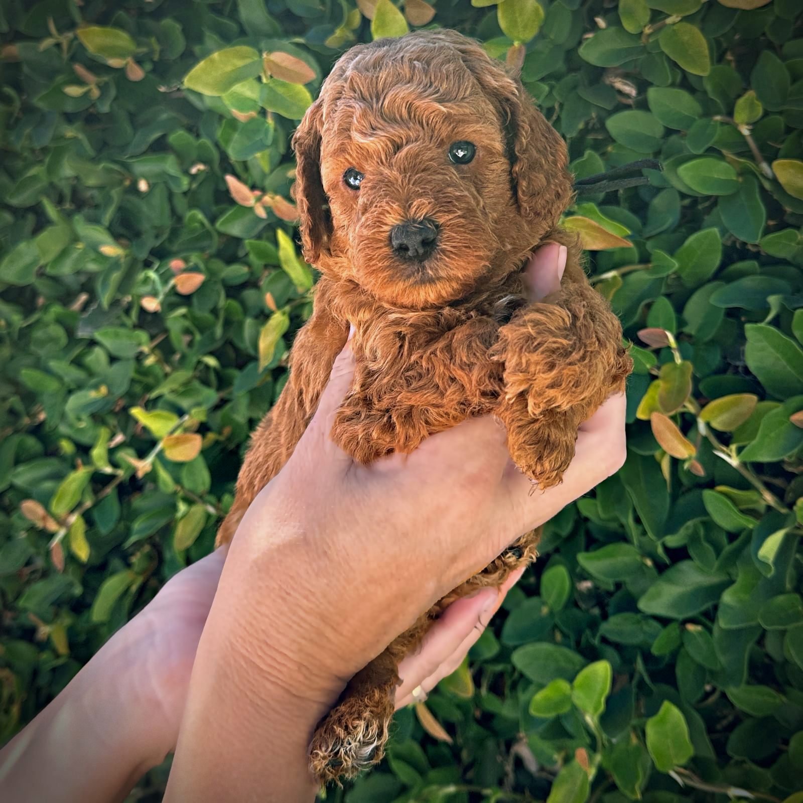 4 Weeks Old!